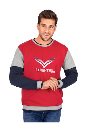 Trigema Sweatshirt, (1 tlg.), mit TRIGEMA-Logo kaufen