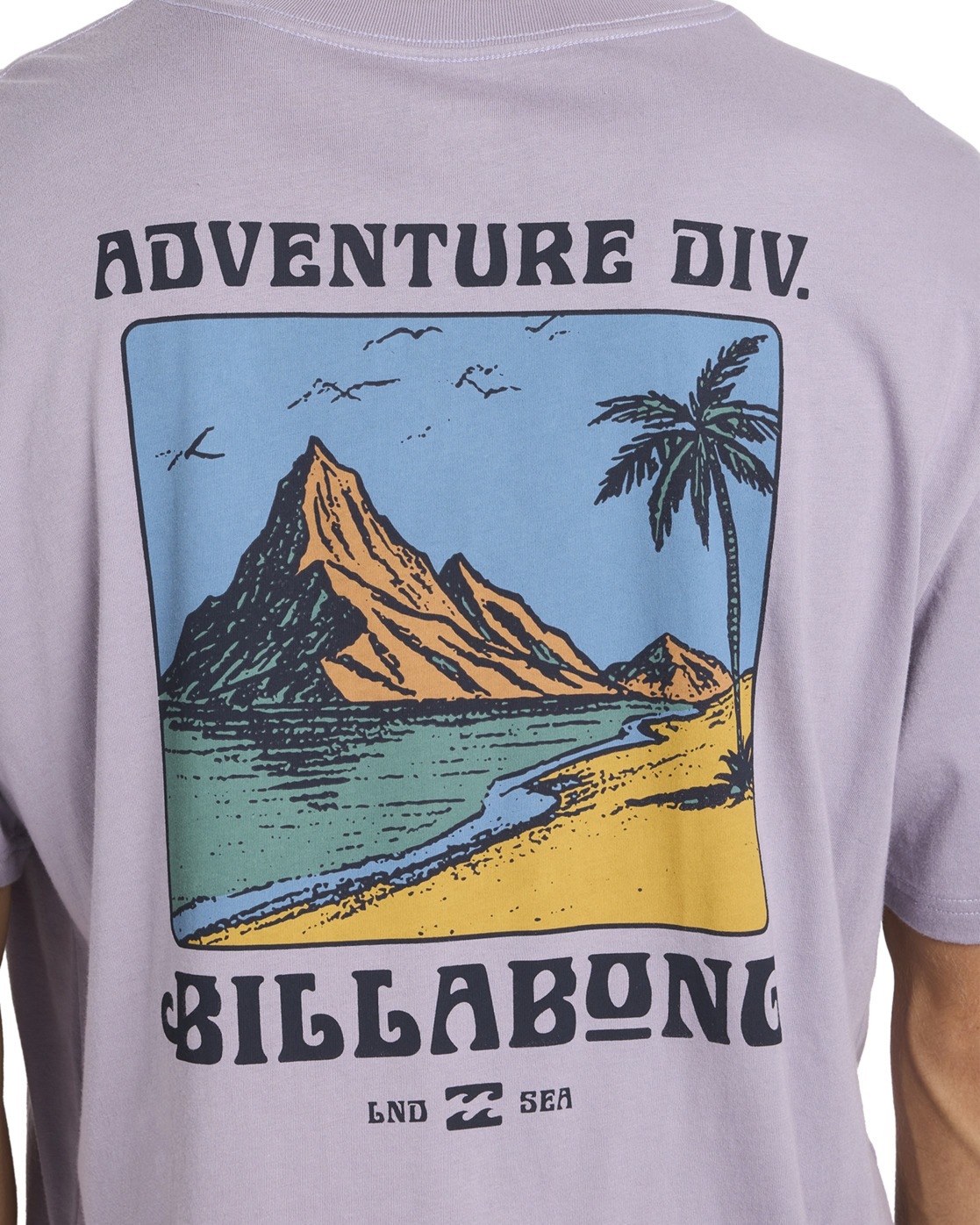 Billabong T-Shirt »Post Cards A/DIV Premium«