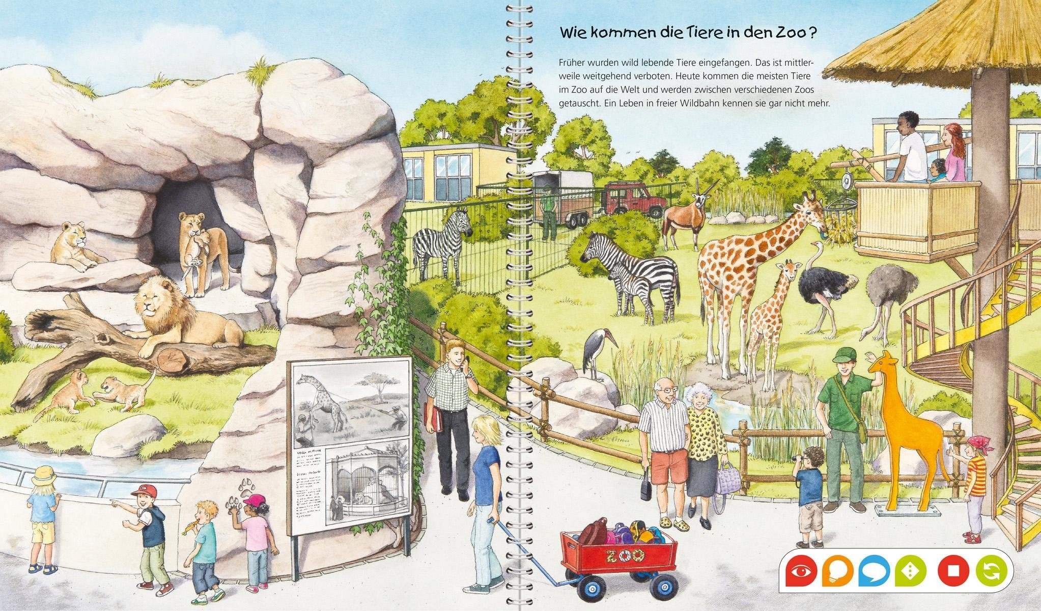 Ravensburger Buch »tiptoi® WWW Entdecke den Zoo«, Made in Europe