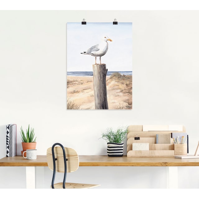 Artland Wandbild »Möwe«, Vögel, (1 St.), als Alubild, Leinwandbild,  Wandaufkleber oder Poster in versch. Größen kaufen im OTTO Online Shop