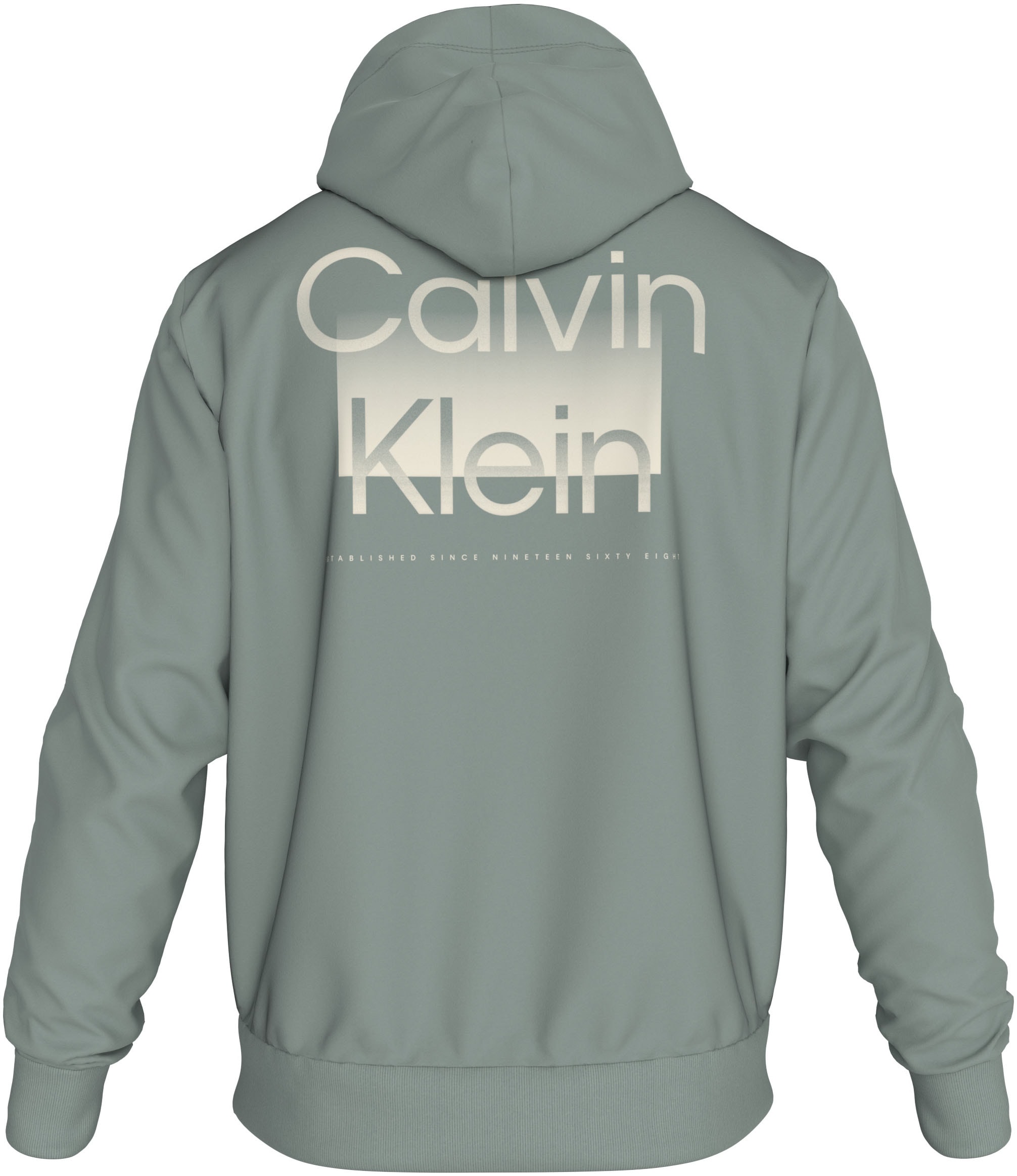 Calvin Klein Kapuzensweatshirt »ENLARGED BACK LOGO HOODIE«, mit Logodruck
