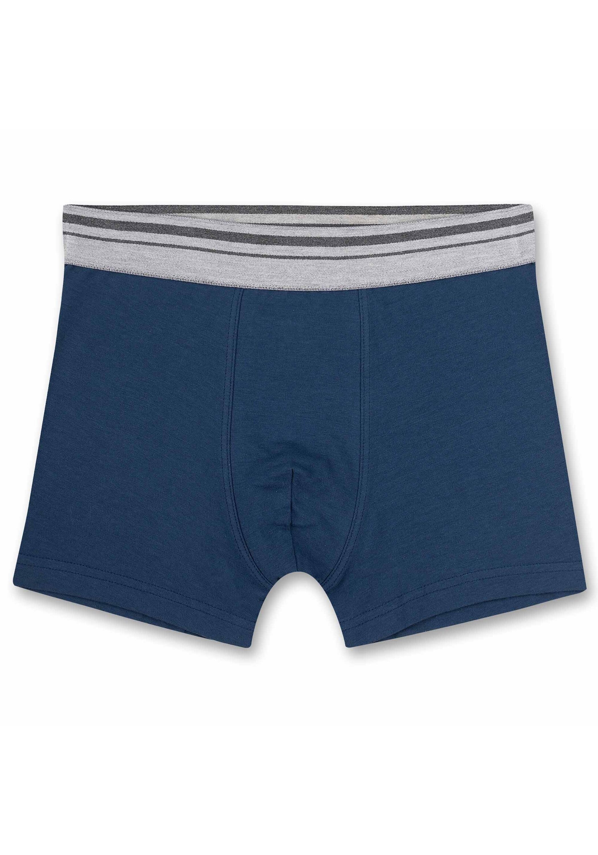 Sanetta Boxershorts »Boxershort 2er Pack«