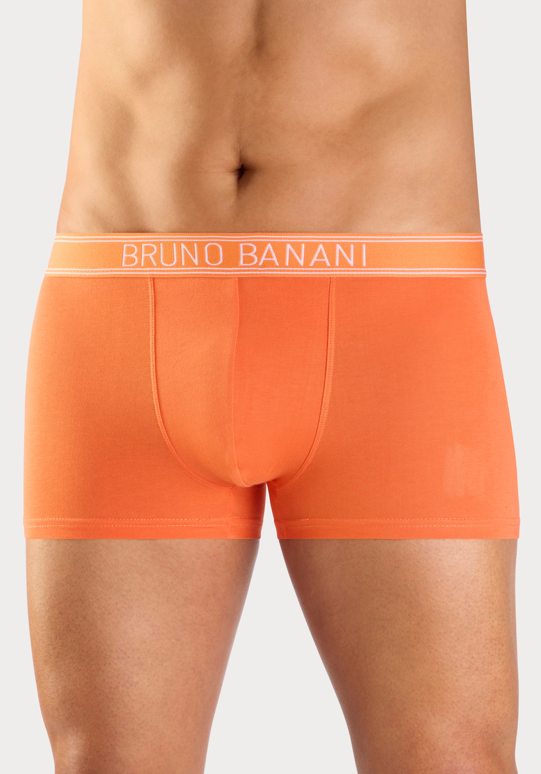 Bruno Banani Boxer »Boxershorts für Herren« Packung, 5 Stk. mit schmalen Streifen und Logoschriftzug im Bund