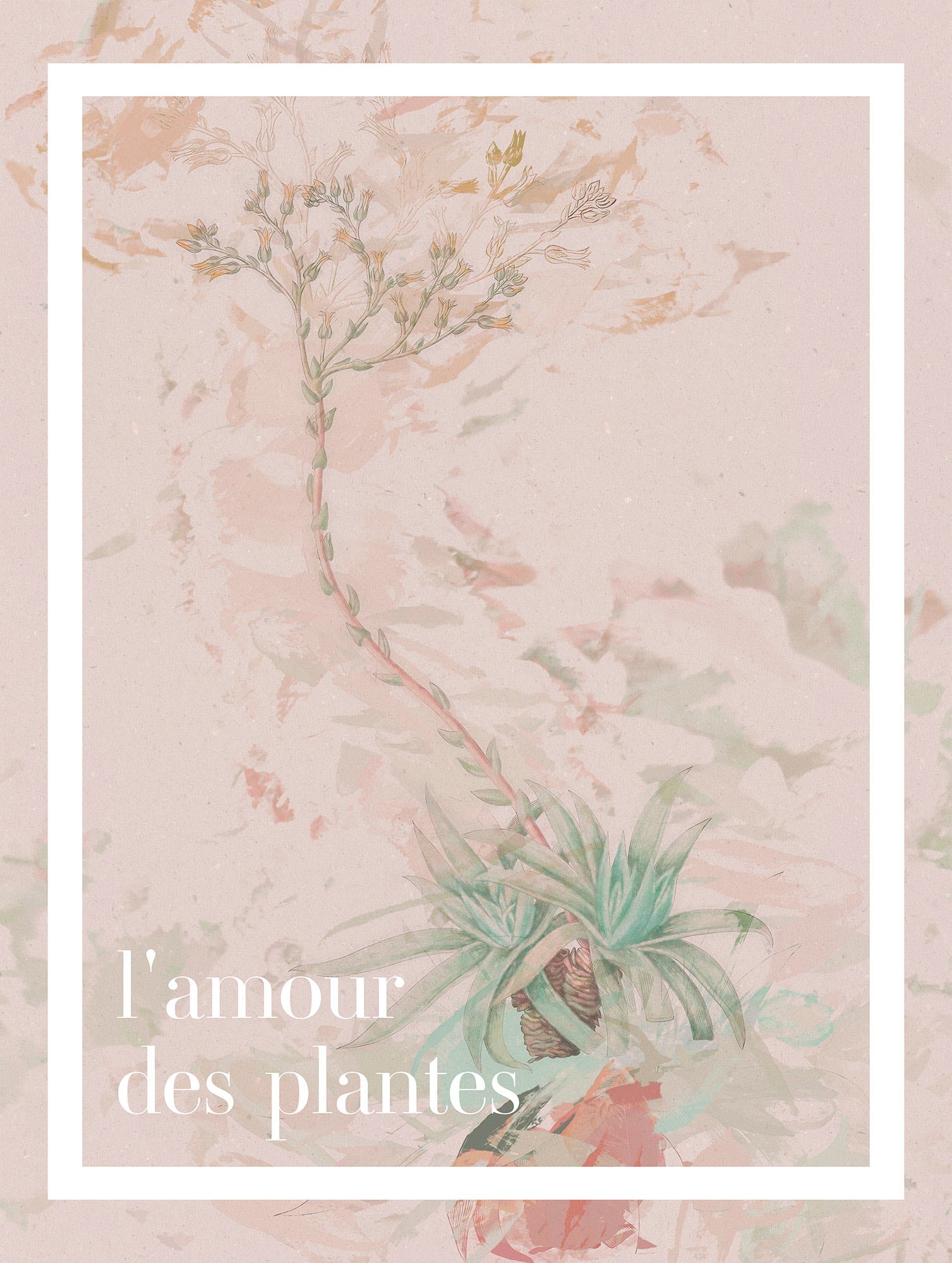 Wandbild »L'amour des plantes«, (1 St.), Deutsches Premium-Poster Fotopapier mit...