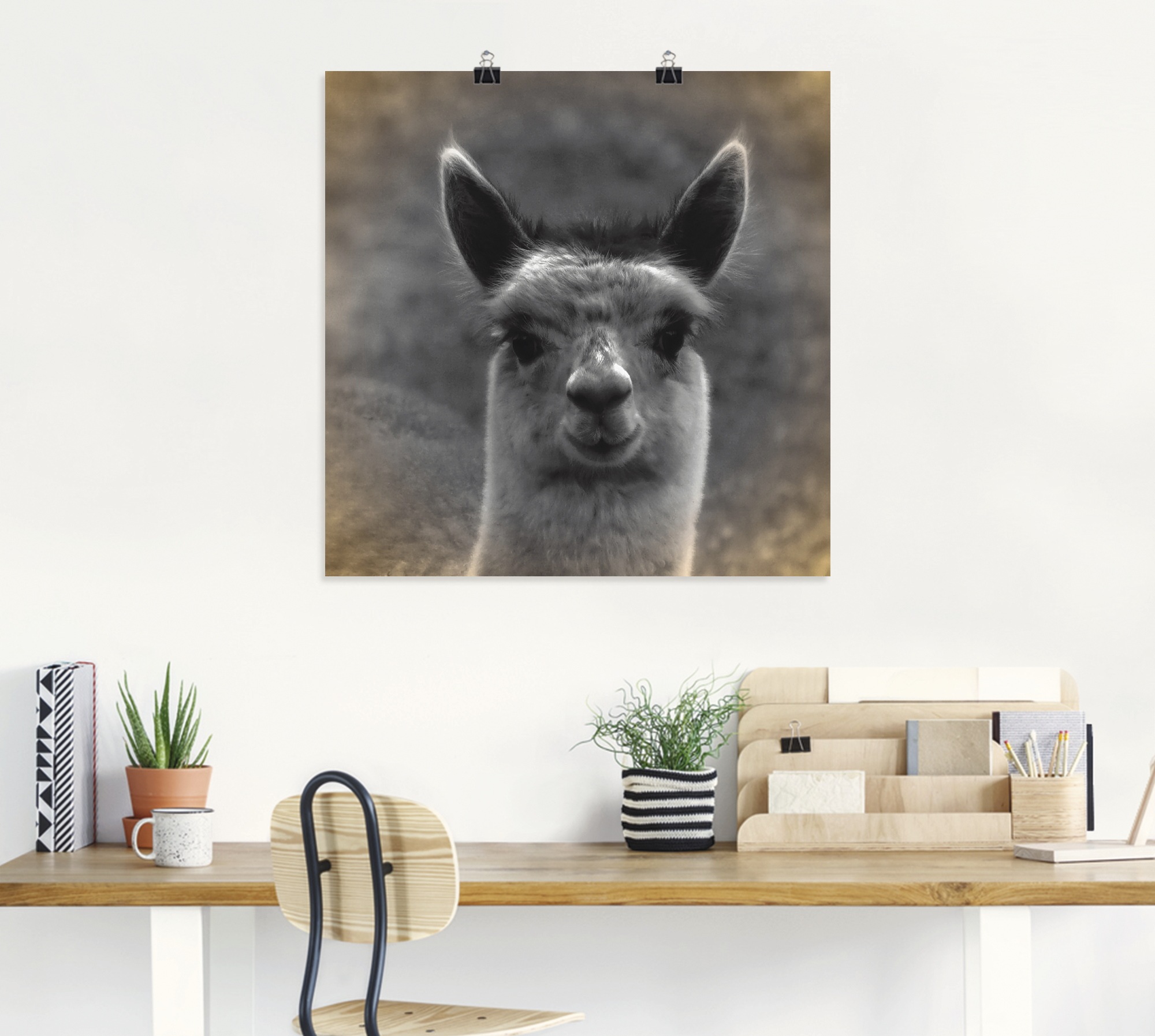 Artland Wandbild »Alpaka Blick«, Wildtiere, (1 St.), als Alubild, Outdoorbild, Leinwandbild, Poster in verschied. Größen