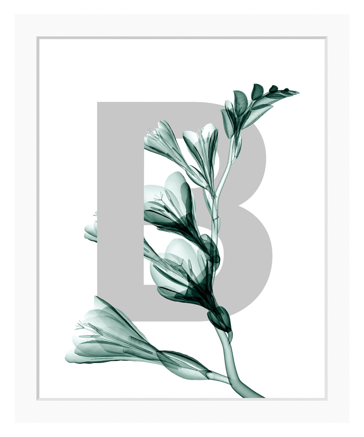 queence Bild »B-Flower 2.0« B | Blätter | Buchstaben | Pflanzen Blume, Blätter, gerahmt