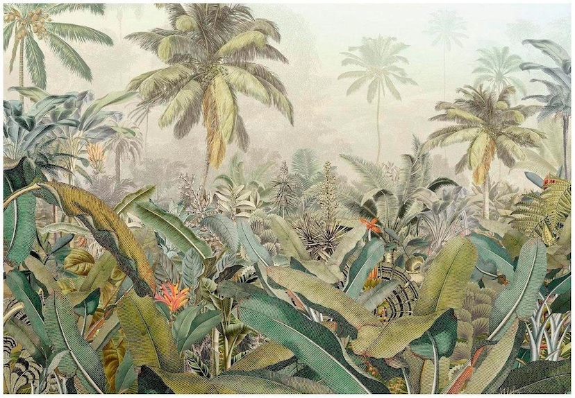 Komar Fototapete »Jungle Trail«, 368x254 cm (Breite x Höhe), inklusive  Kleister kaufen bei OTTO