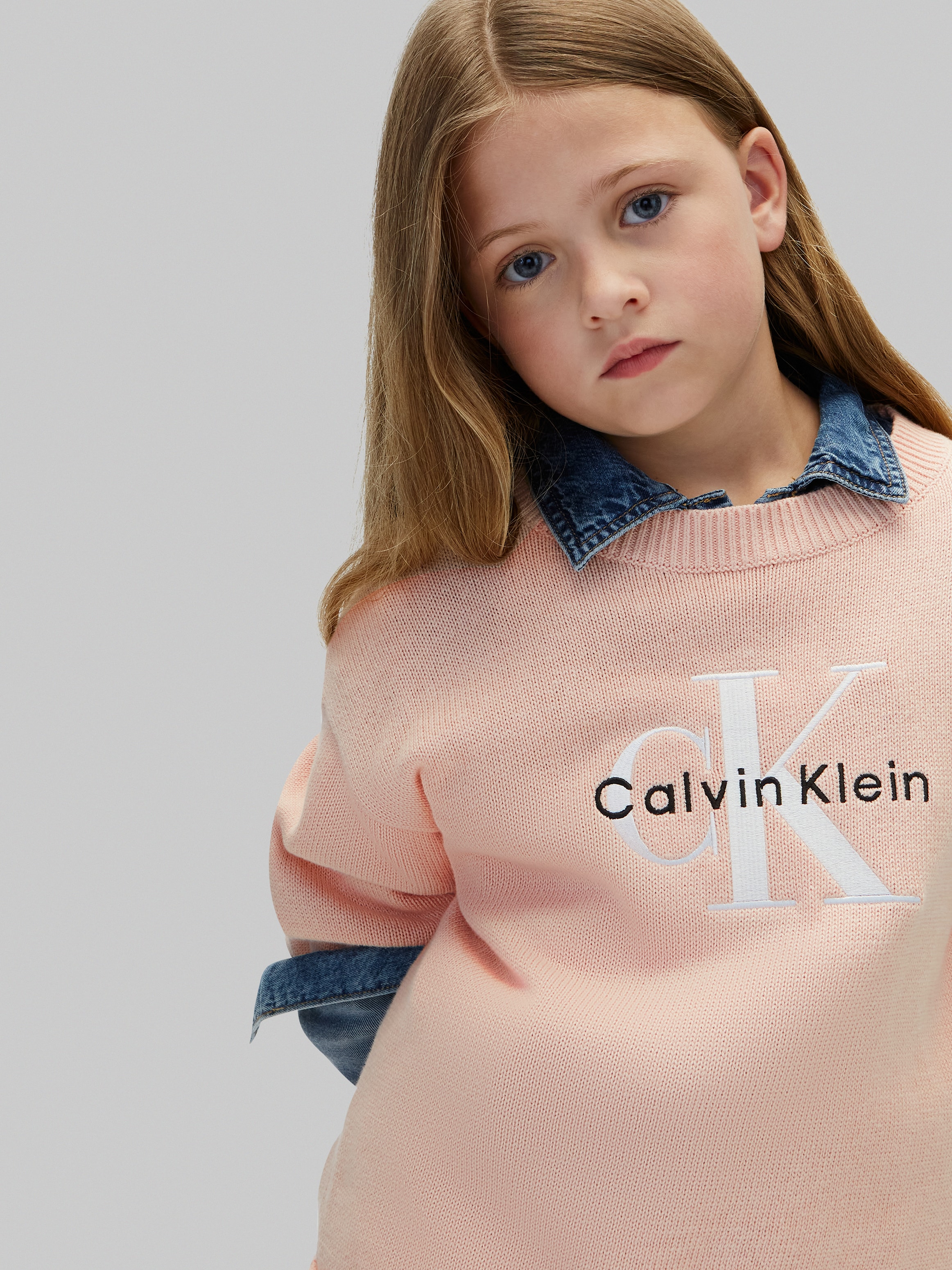 Calvin Klein Jeans Strickpullover Rundhalsausschnitt, Regular Fit, große Stickerei