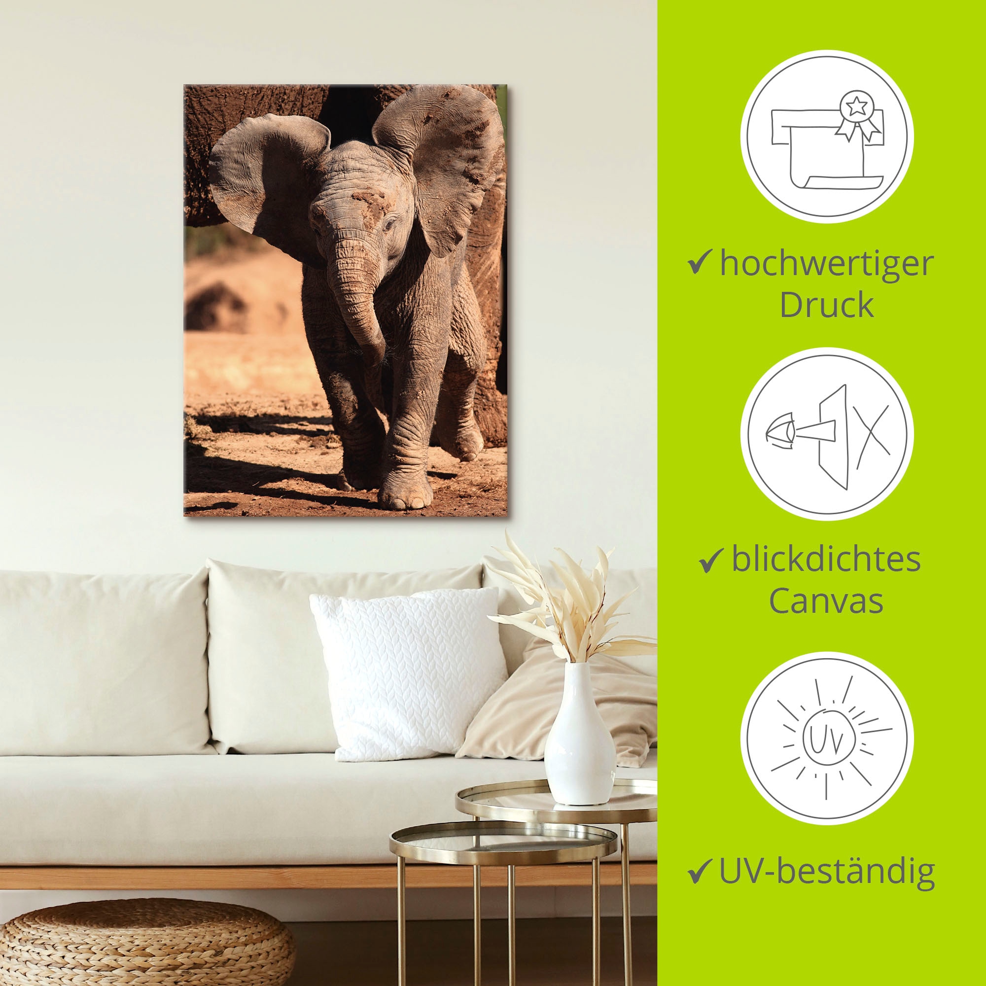 Artland Leinwandbild »Elefantenbaby«, Wildtiere, (1 St.), auf Keilrahmen gespannt