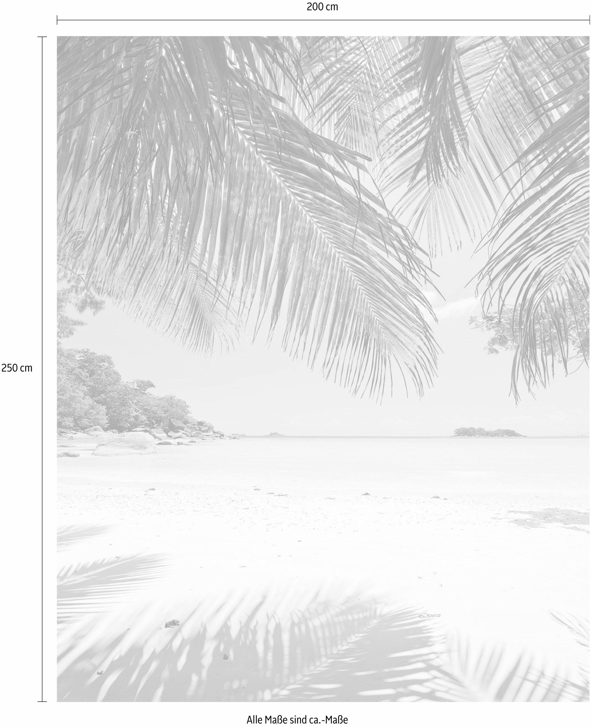 Komar Vliestapete »Digitaldruck Vlies - Under The Palmtree - Größe 200 x 250 cm«, bedruckt, Wohnzimmer, Schlafzimmer