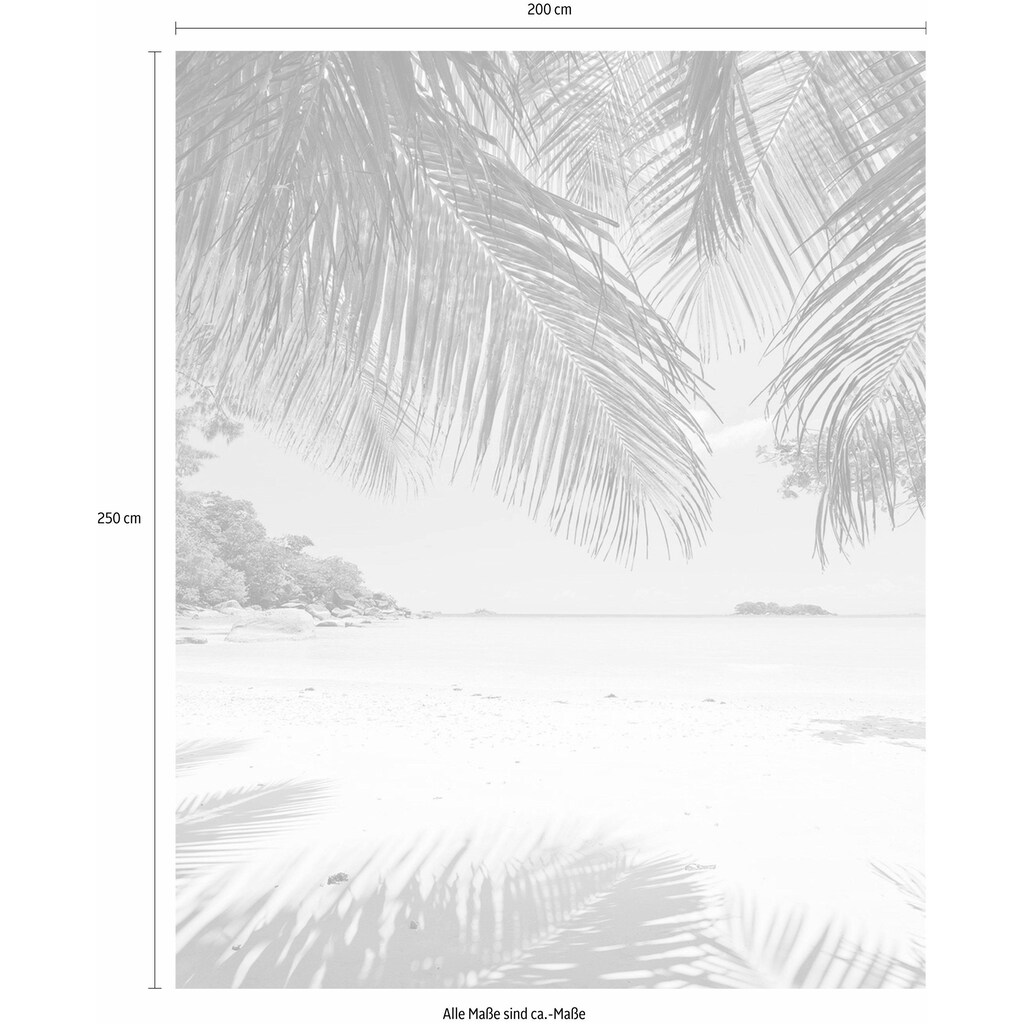 Komar Vliestapete »Under The Palmtree«