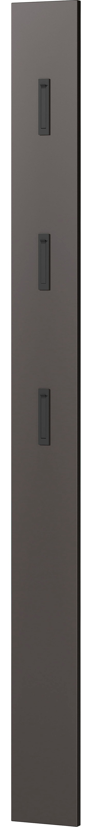 GERMANIA Garderoben-Set »Ameca«, (Set, 3 St.), mit Mehrzweckschrank, Spiegel und Garderobenpaneel, geringe Tiefe