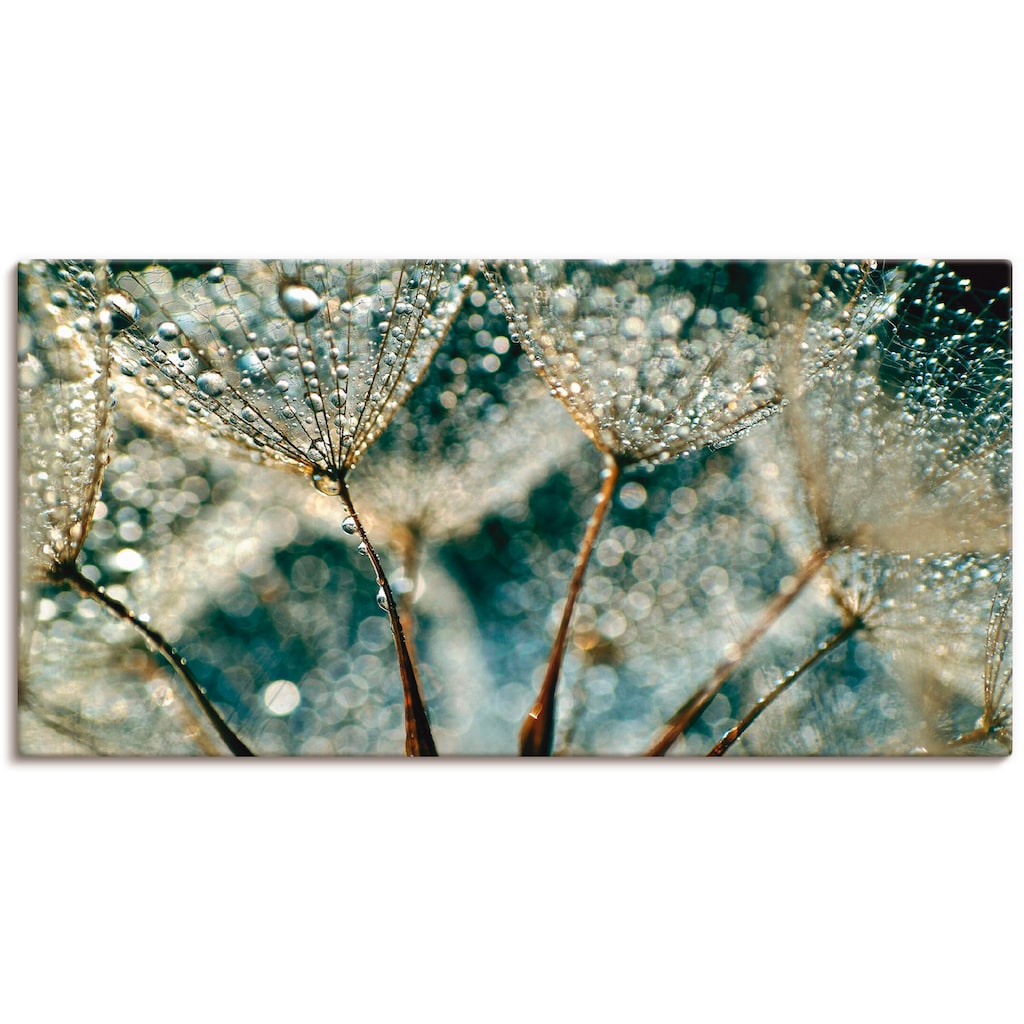 Artland Wandbild »Pusteblume Regenschauer«, Blumen, (1 St.)