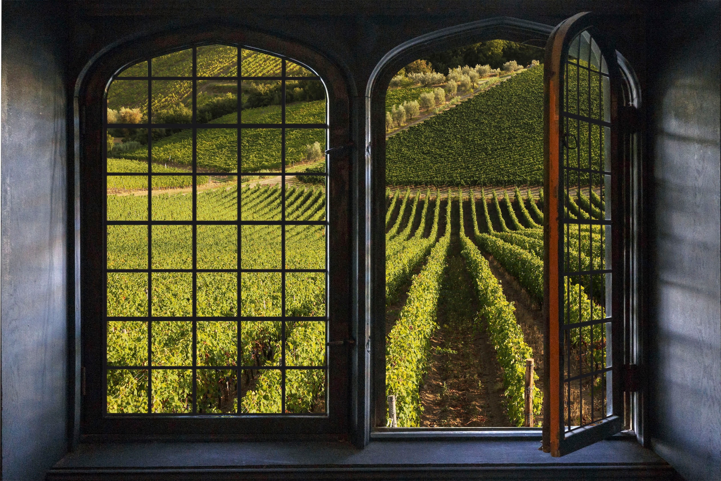 queence Wandsticker »Weinreben« Wandsticker, Wandbild, selbstklebend, 3D, Fenster