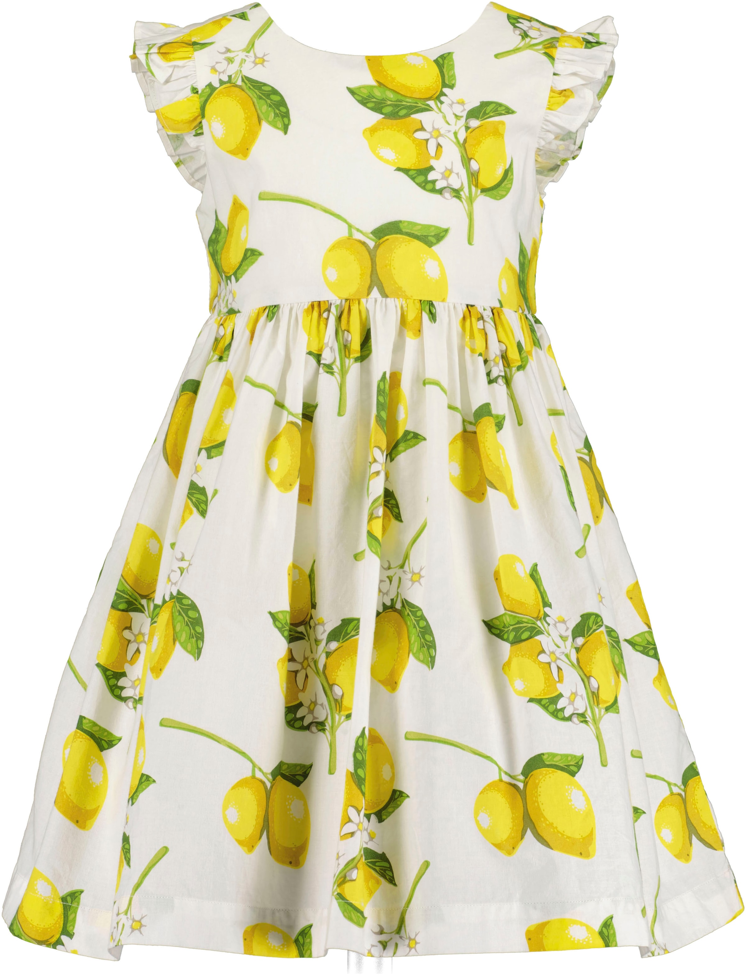 Blue Seven Sommerkleid 1 tlg. tlg. mit süßen Flügelärmeln und sommerlichem Alloverdruck