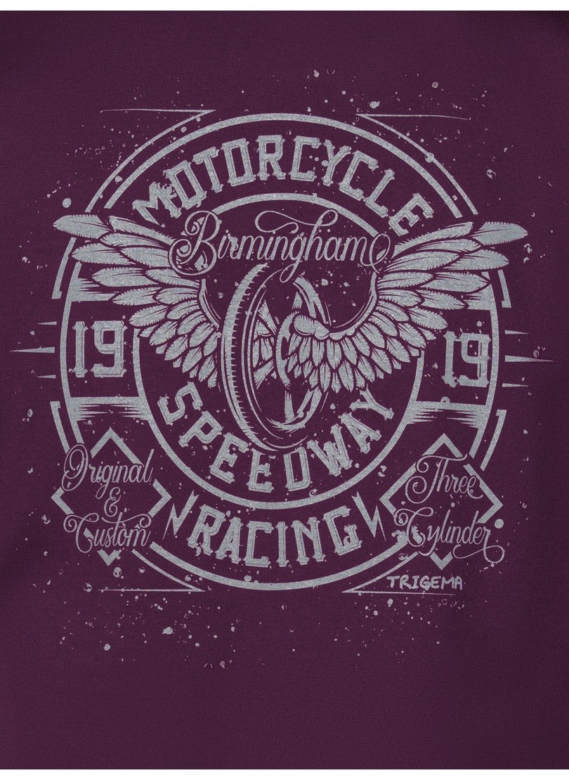 Trigema T-Shirt »TRIGEMA T-Shirt mit Motorrad-Printmotiven«, (1 tlg.)
