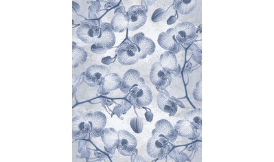 Komar Fototapete »Orchidée«, botanisch-tropisch-Motiv, BxL: 200x250 cm, 150 g/m²,... kaufen