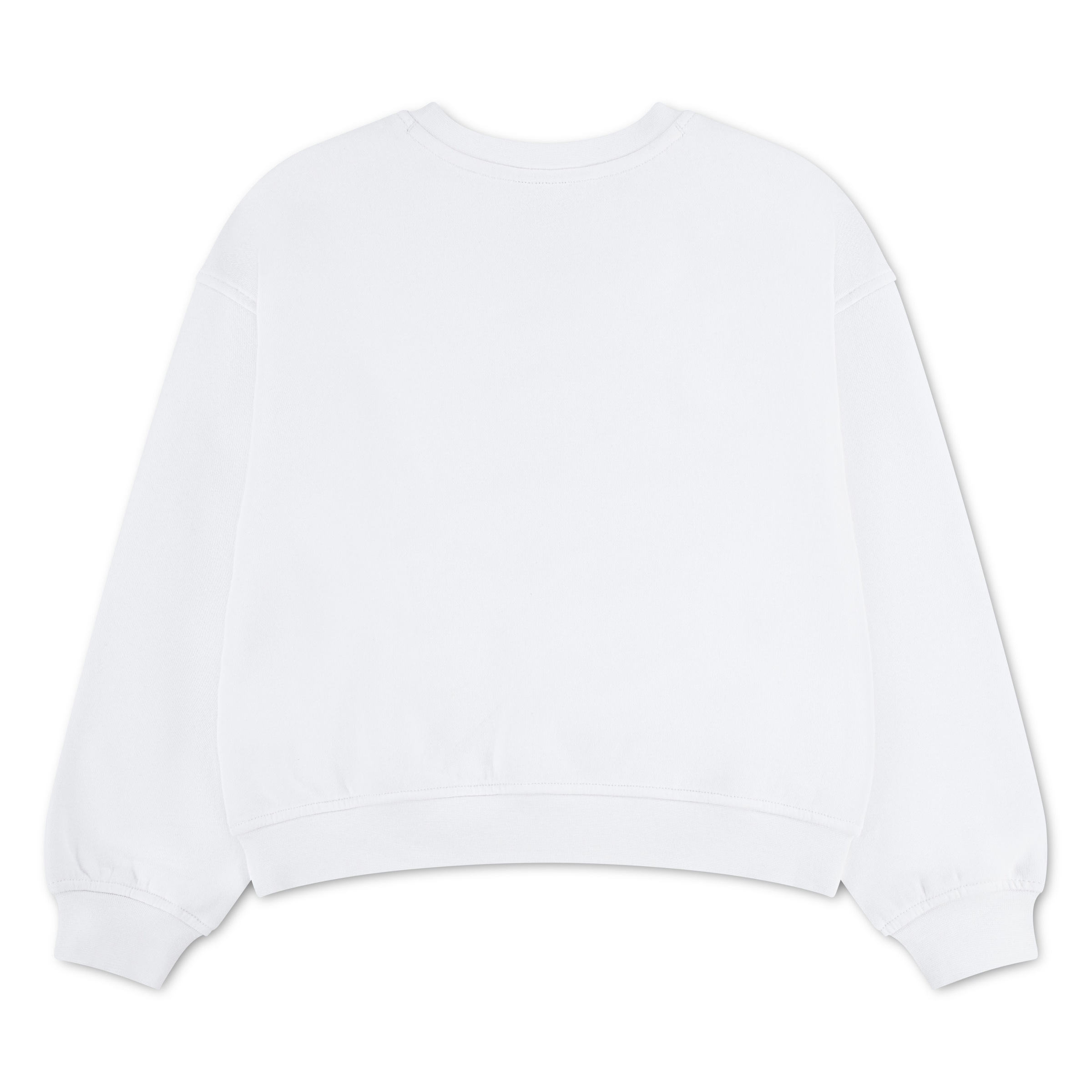 Jordan Sweatshirt »JDG FIERCE  FEARLESS CREW«, mit Rundhalsausschnitt, aus angerauter Sweatware
