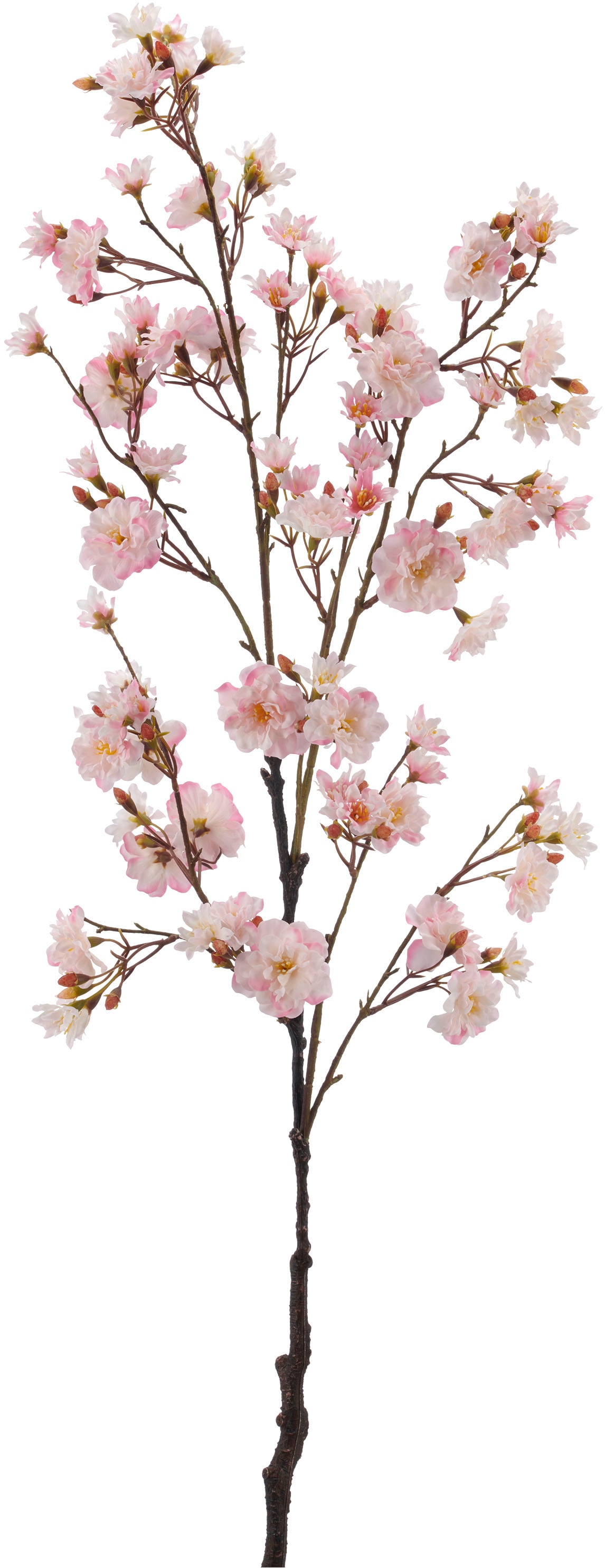 Creativ green Kunstzweig »Kirschblütenzweig« in toller Größe