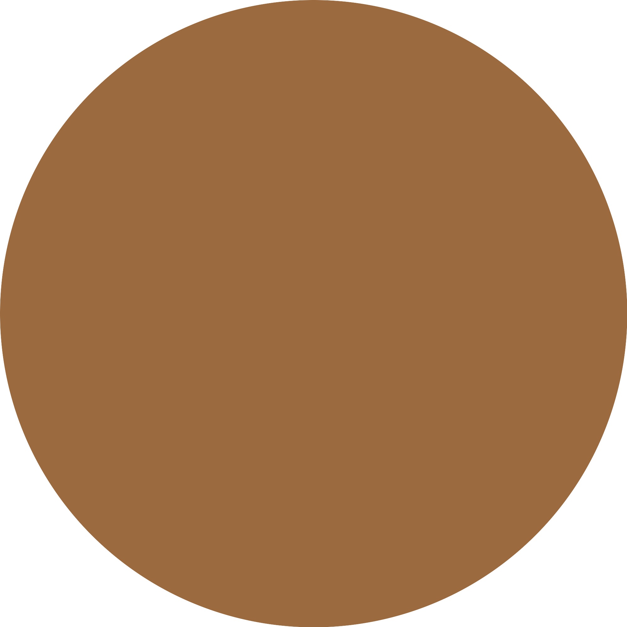 Essence Foundation »SILKY BLUR HYDRATING LONGWEAR FOUNDATION«