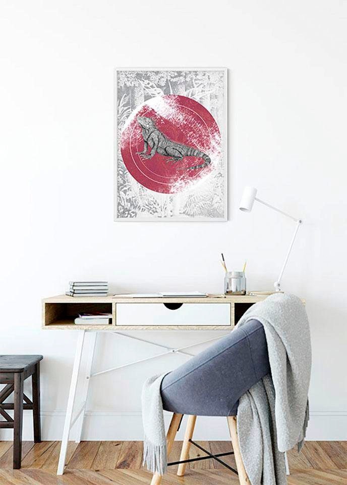Komar Bild »Iguana Circle«, Tiere, (1 St.), Wandbild zur Dekoration - ohne Rahmen