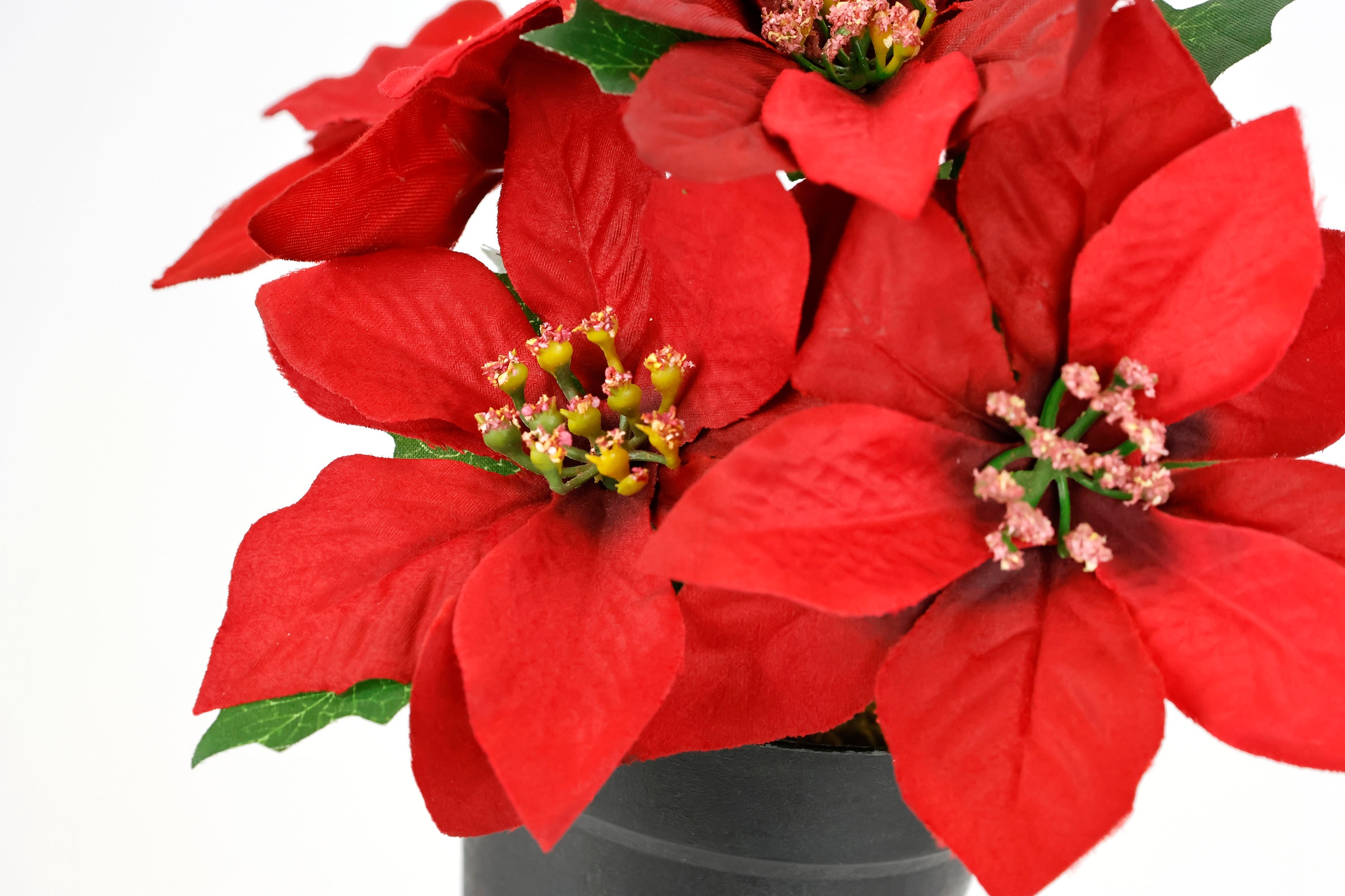 I.GE.A. Kunstblume »Poinsettia im Topf« 2er Set Künstliche Blume Weihnachtsstern Christstern Weihnachtsdeko