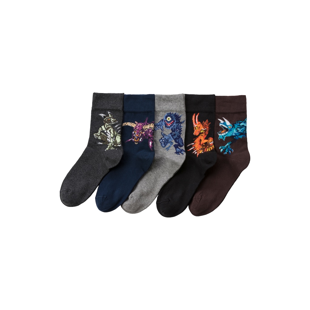 H.I.S Freizeitsocken, (5 Paar)