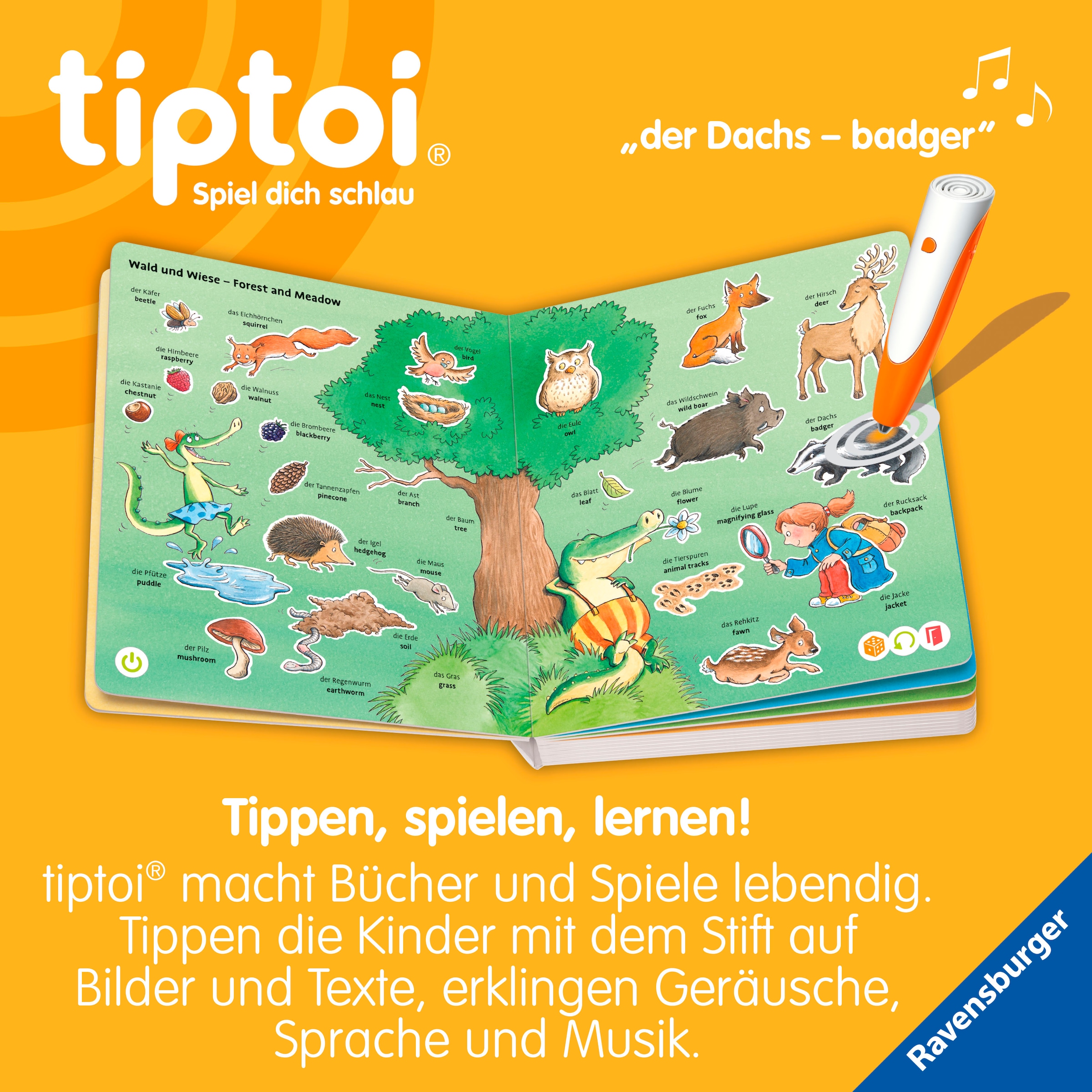 Ravensburger Buch »tiptoi® - Mein erstes Bild-Wörterbuch Deutsch-Englisch«, Made in Europe