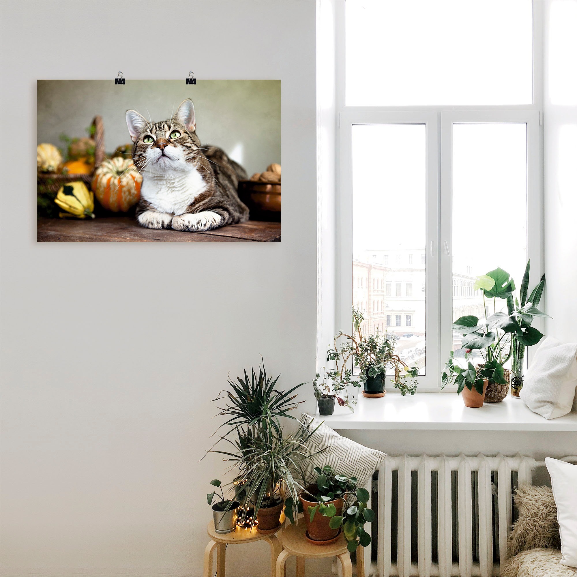 Artland Poster »Katze und Herbstdeko«, Haustiere, (1 St.), als Alubild, Leinwandbild, Wandaufkleber oder Poster in versch. Größen