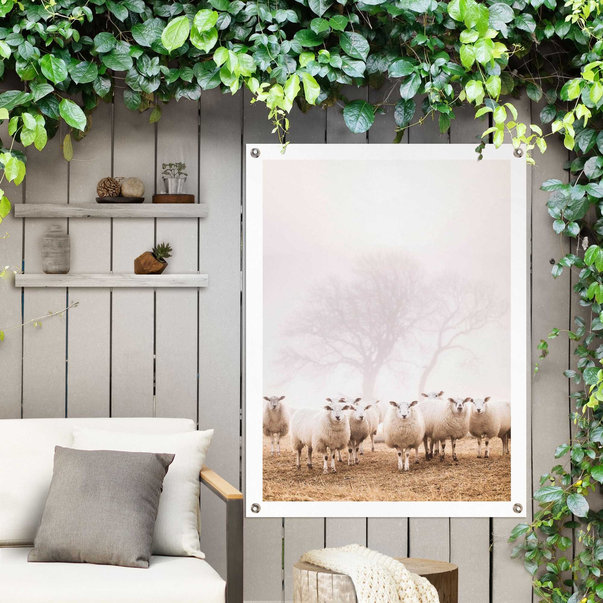 Outdoor »Schafe Poster Garten kaufen Nebel«, im für bei Reinders! oder Balkon OTTO