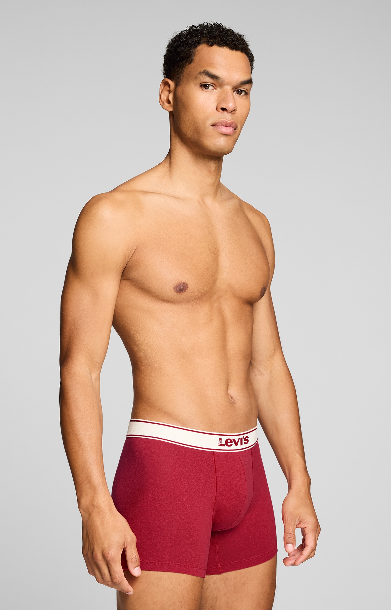 Levi's® Boxer »LEVIS MEN VNTG HTR BOXER BRIEF 2P« 2er Pack,  ohne Eingriff, uni, meliert, Logo-Bund, elastisch