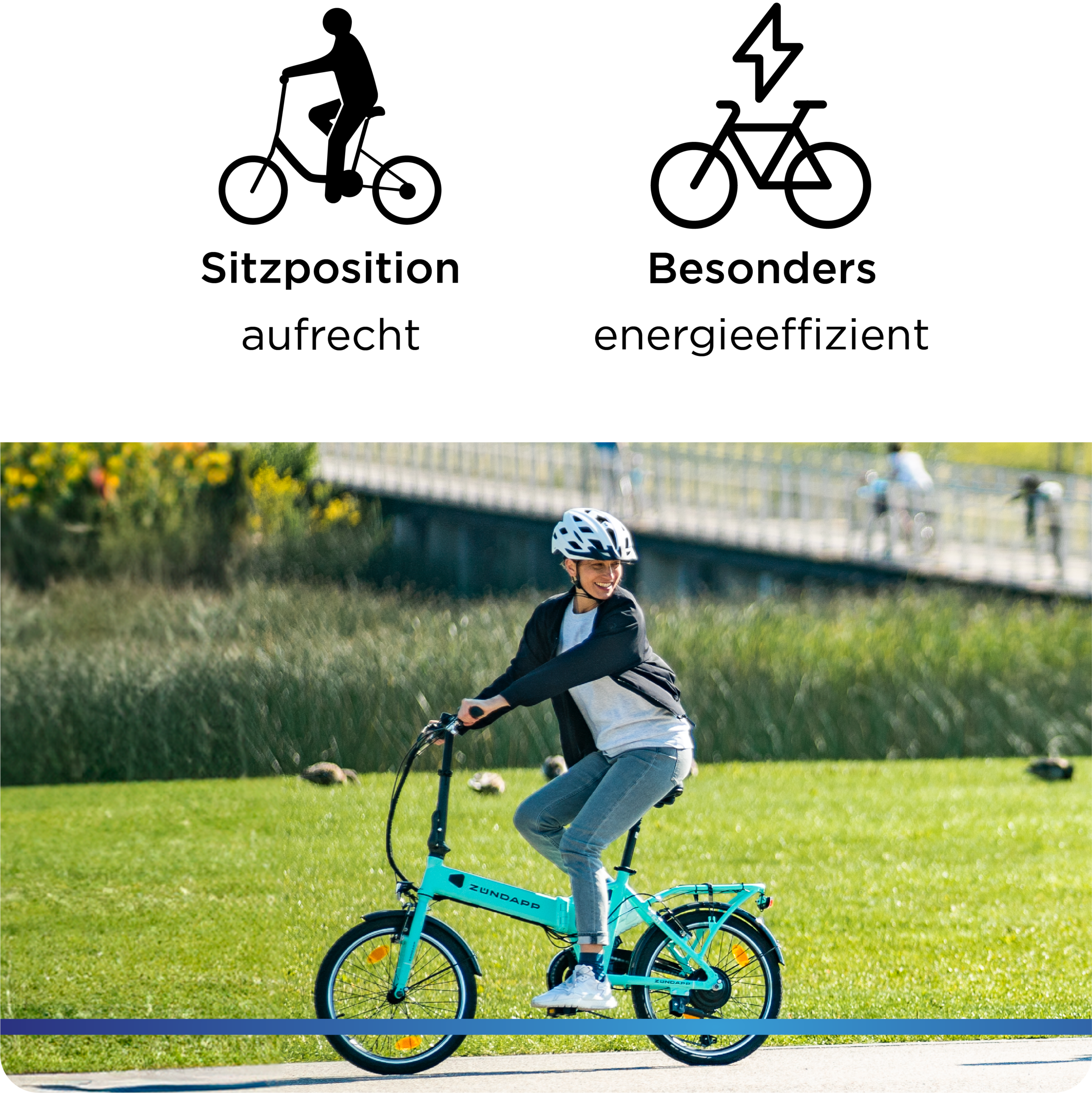 Zündapp »Z101« 6 Gang Shimano Tourney Schaltwerk Kettenschaltung Heckmotor 250 W Pedelec, Elektrofahrrad für Damen u. Herren
