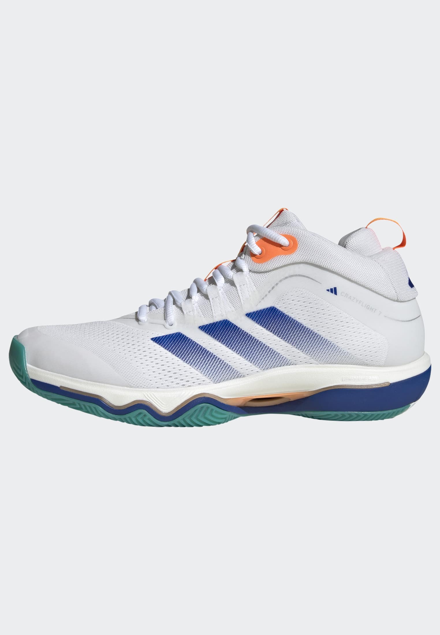 adidas Performance Hallenschuh »CRAZYFLIGHT 7«  Volleyballschuh, Handballschuh