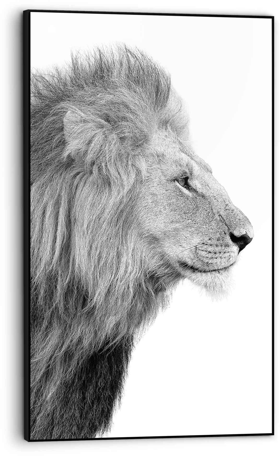 Reinders! Bild »Gerahmtes Bild Löwenkopf Tierkopf - Porträt -  Seitenansicht«, Löwen, (1 St.) kaufen im OTTO Online Shop