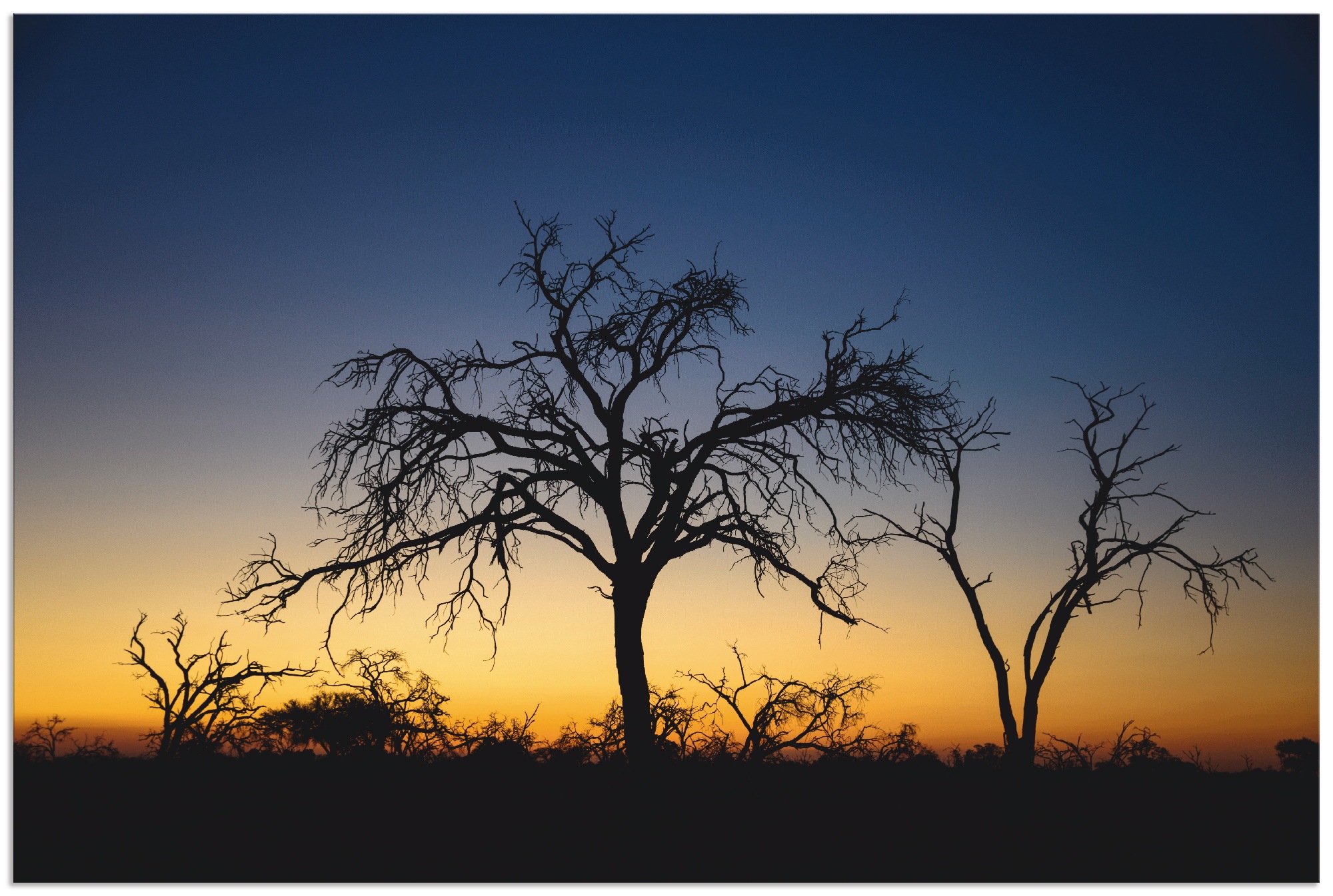 Artland Wandbild »Bäume im Sonnenuntergang«, Afrika, (1 St.), in vielen Größen & Produktarten - Alubild / Outdoorbild für den Außenbereich, Leinwandbild, Poster, Wandaufkleber / Wandtattoo auch für Badezimmer geeignet