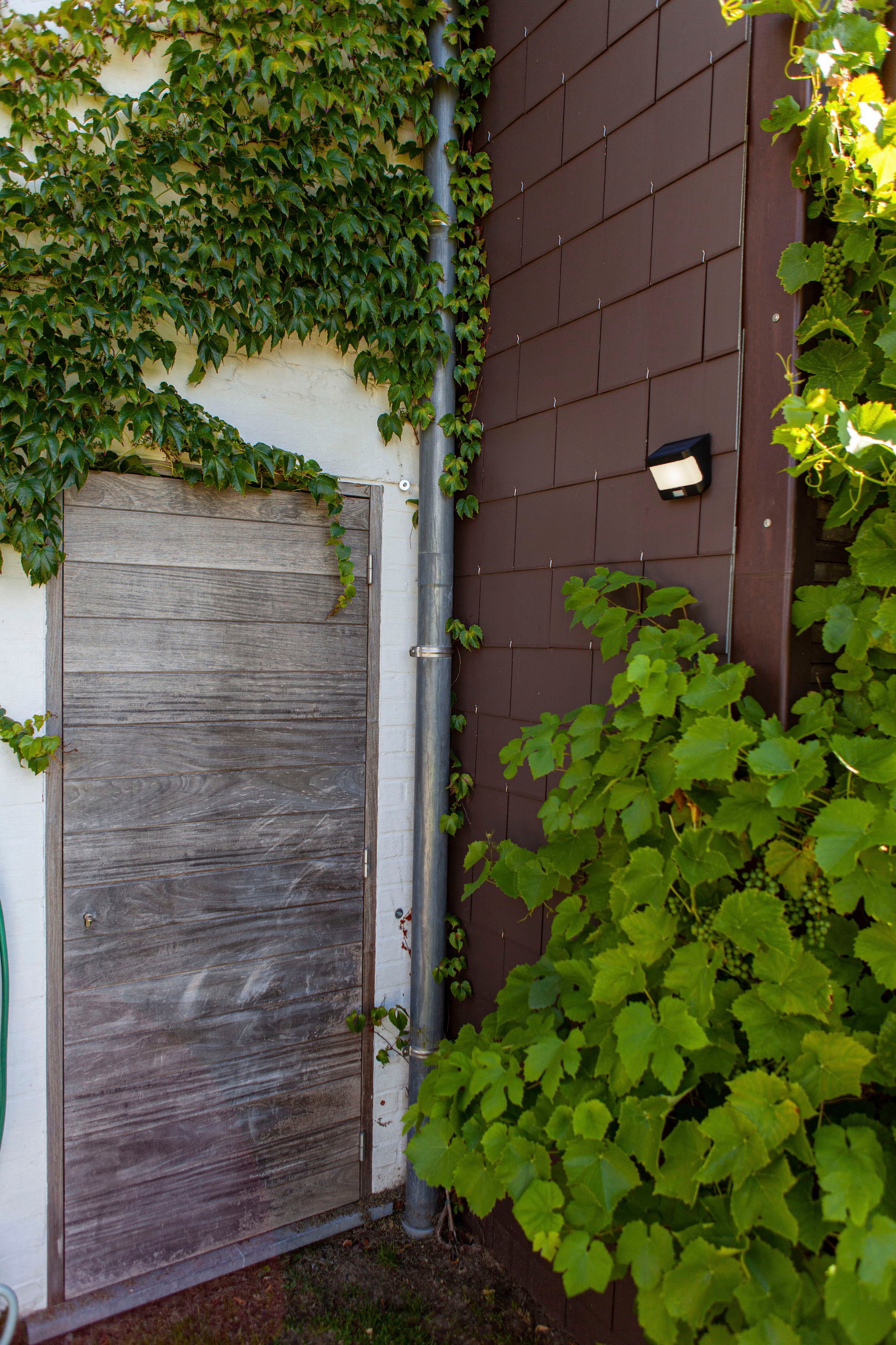 LUTEC LED Solarleuchte »TRY«, Leuchtmittel LED-Modul | LED fest integriert