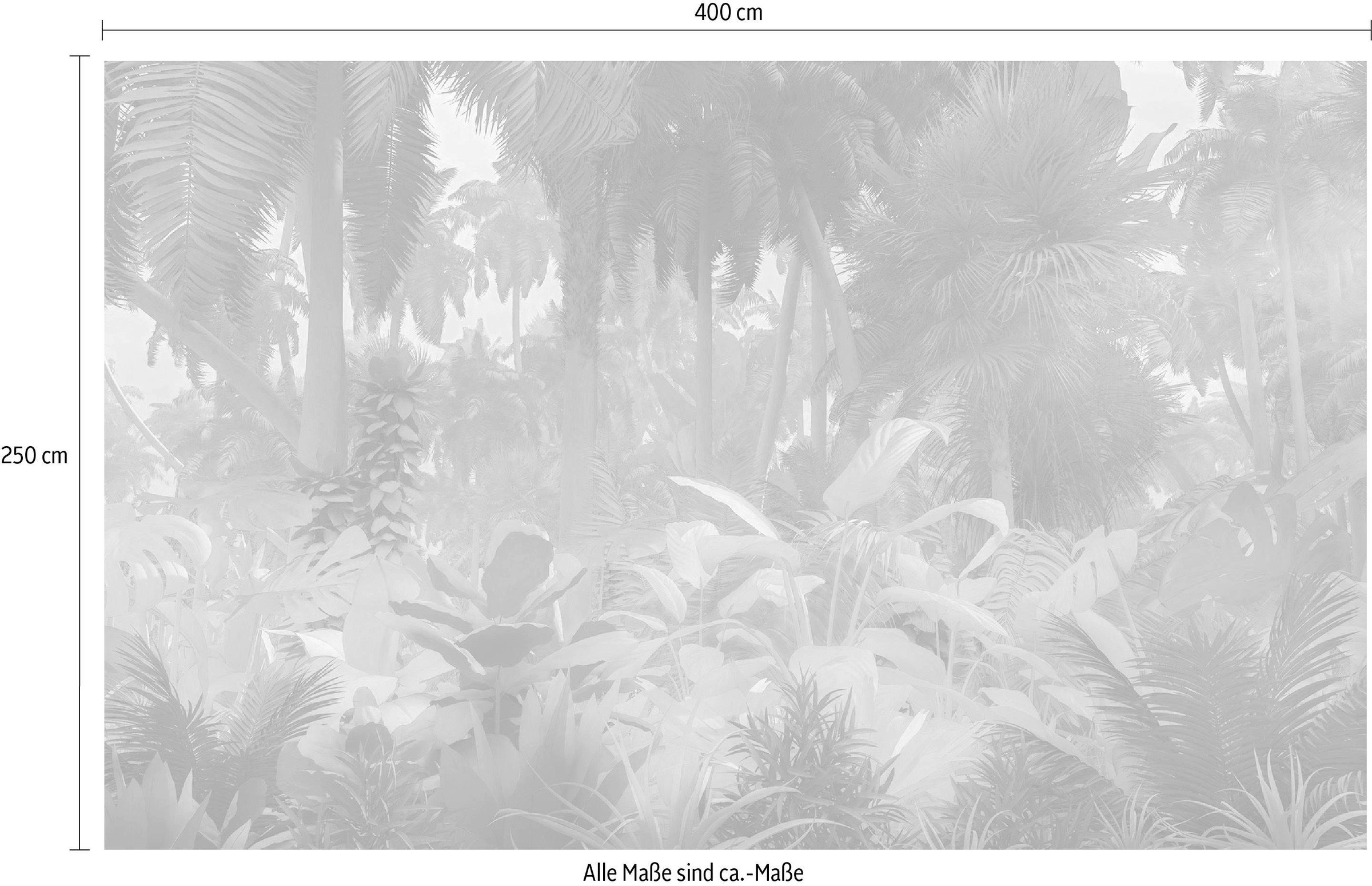 Komar Vliestapete »Digitaldruck Vlies - Misty Jungle - Größe 400 x 250 cm«, bedruckt, Wohnzimmer, Schlafzimmer