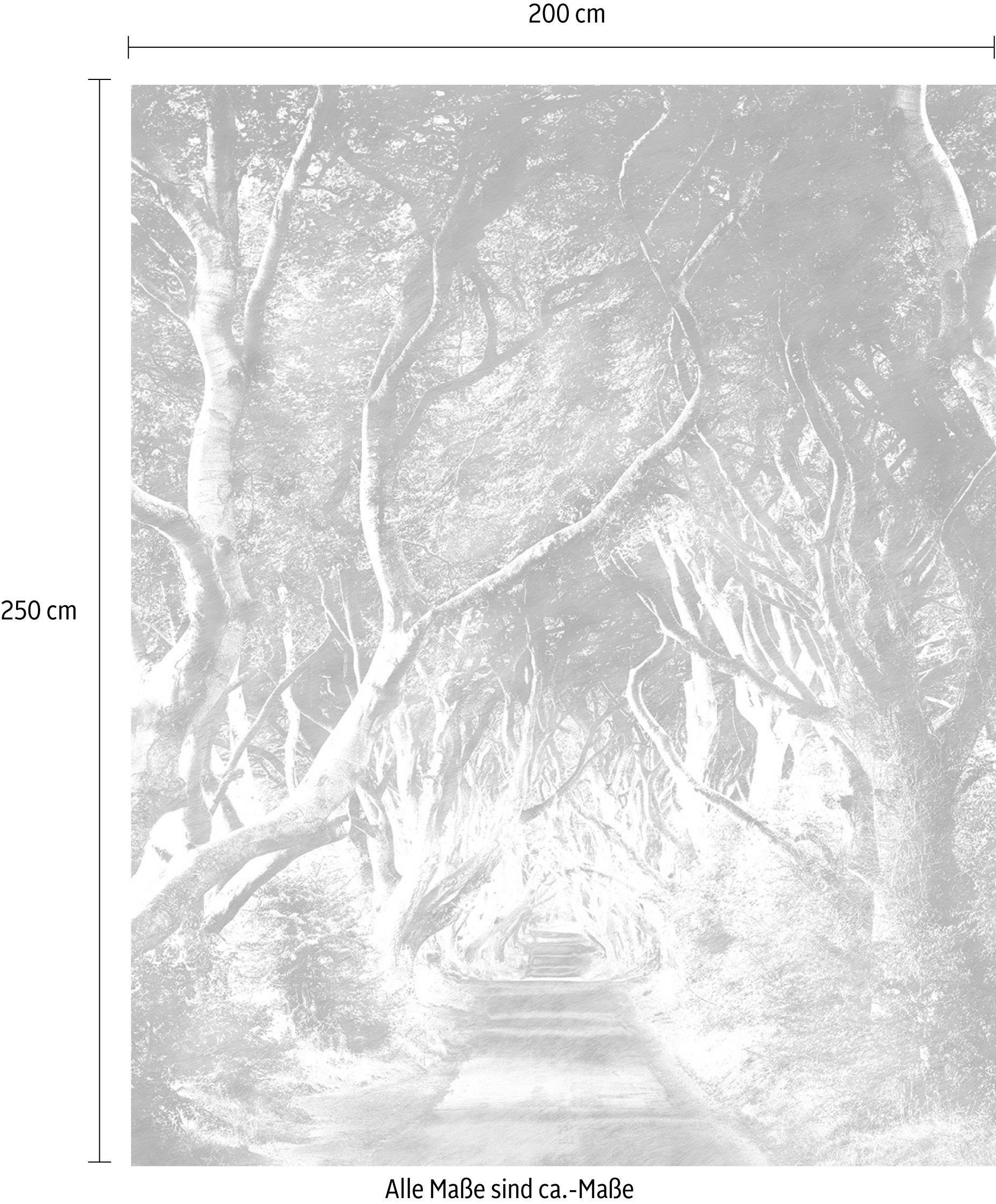 Komar Vliestapete »Digitaldruck Vlies -  Alley - Größe 200 x 250 cm« bedruckt glatt Wohnzimmer, Schlafzimmer