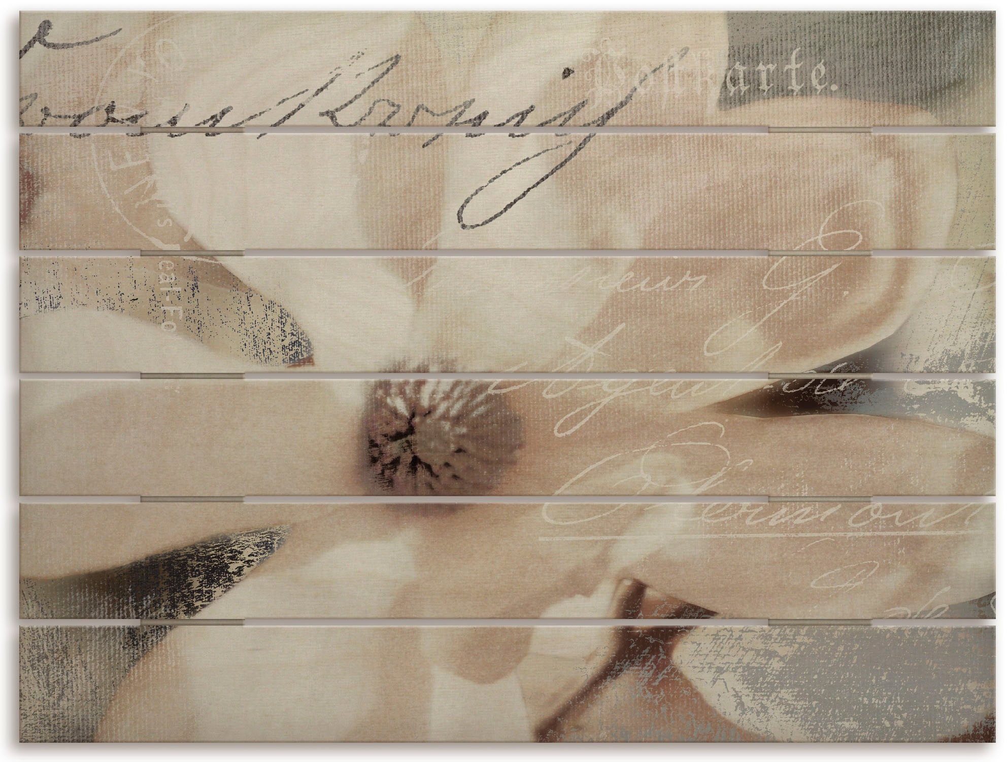 Artland Holzbild »Magnolie_Detail«, Blumenbilder, (1 St.)