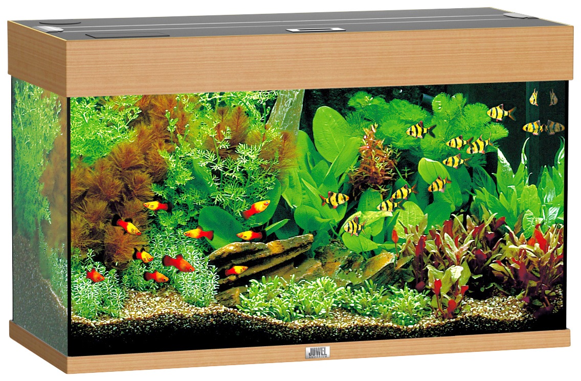 JUWEL AQUARIEN Aquarium »Rio 125 LED«, BxTxH: 81x36x50 cm, 125 l kaufen