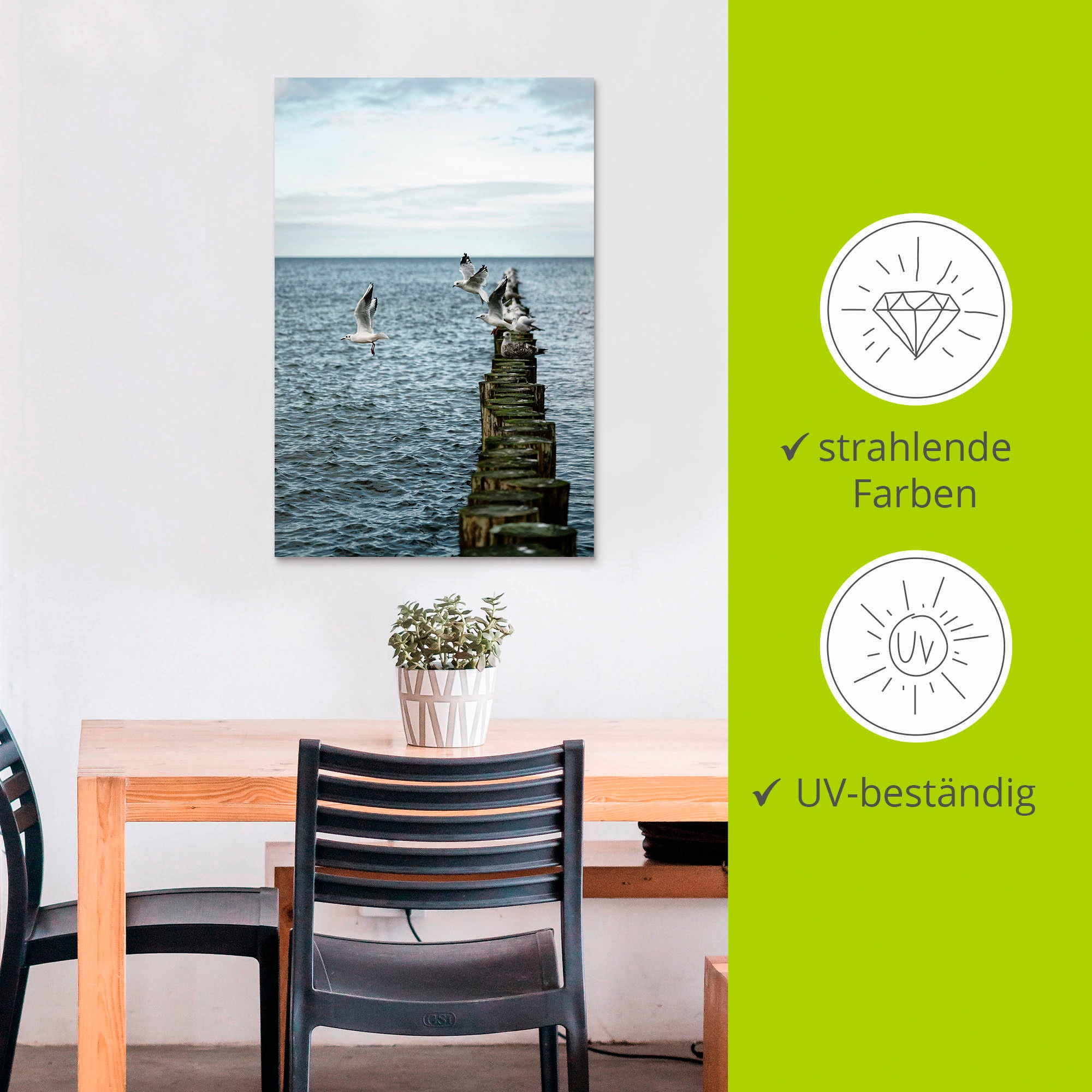 Artland Wandbild »Möwen starten von einer Buhnenreihe«, Vogelbilder, (1 St.), als Alubild, Outdoorbild, Poster in verschied. Größen