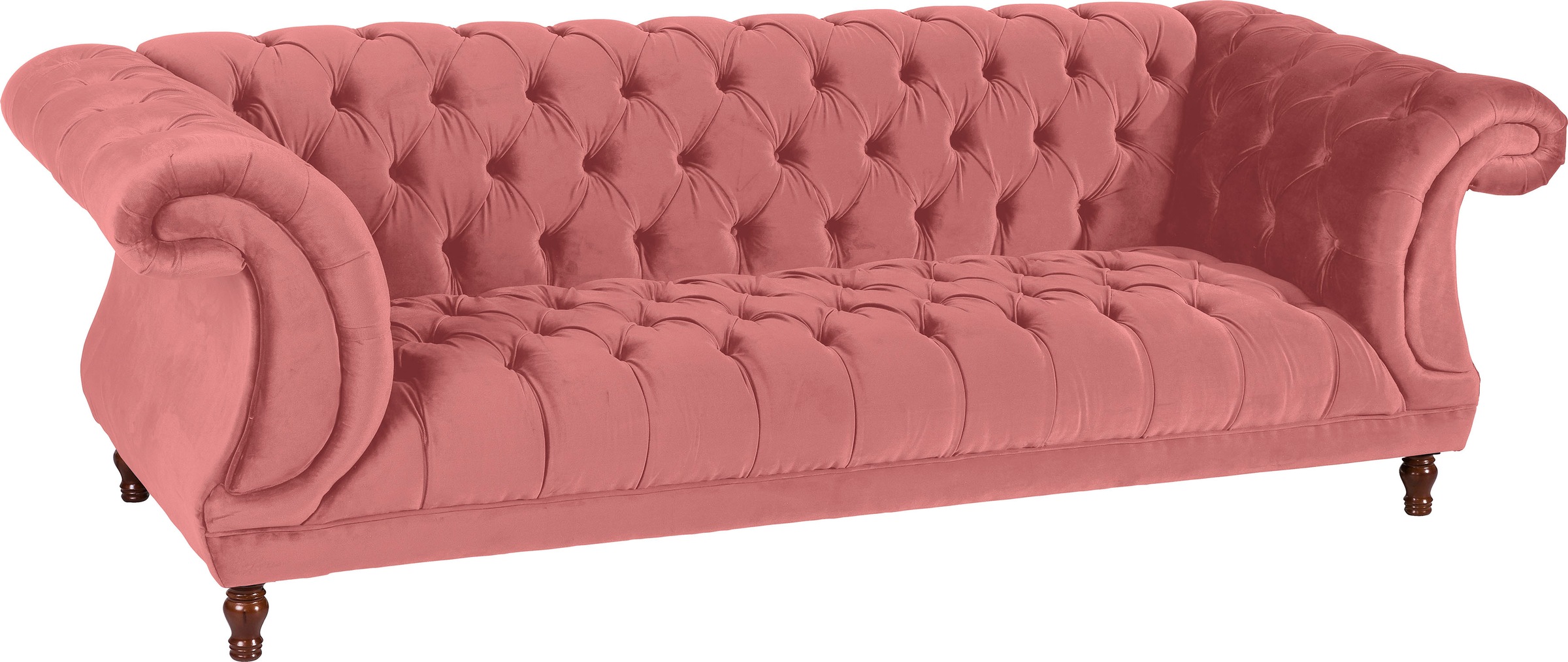 Max Winzer® Chesterfield-Sofa »Isabelle«, Knopfheftung & gedrechselten Füßen in Buche Nussbaum, Breite 260 cm