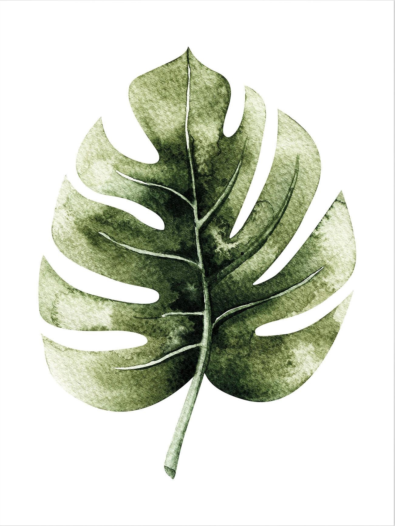 Wall-Art Poster »Kvilis - Monstera Leaf«, Poster, Wandbild, Bild,  Wandposter im OTTO Online Shop