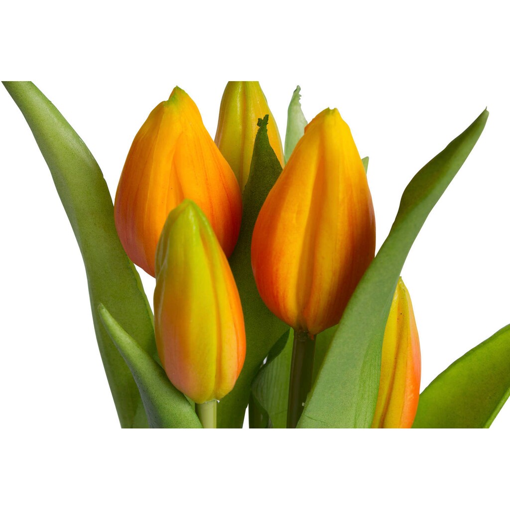 my home Kunstblume »Tulpenpflanze mit 5 Knospen«
