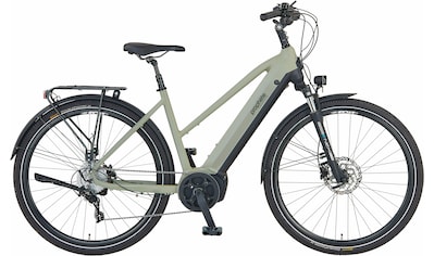 E-Bike »Entdecker 4.0«, 10 Gang, microSHIFT, RD-M61S, Mittelmotor 250 W