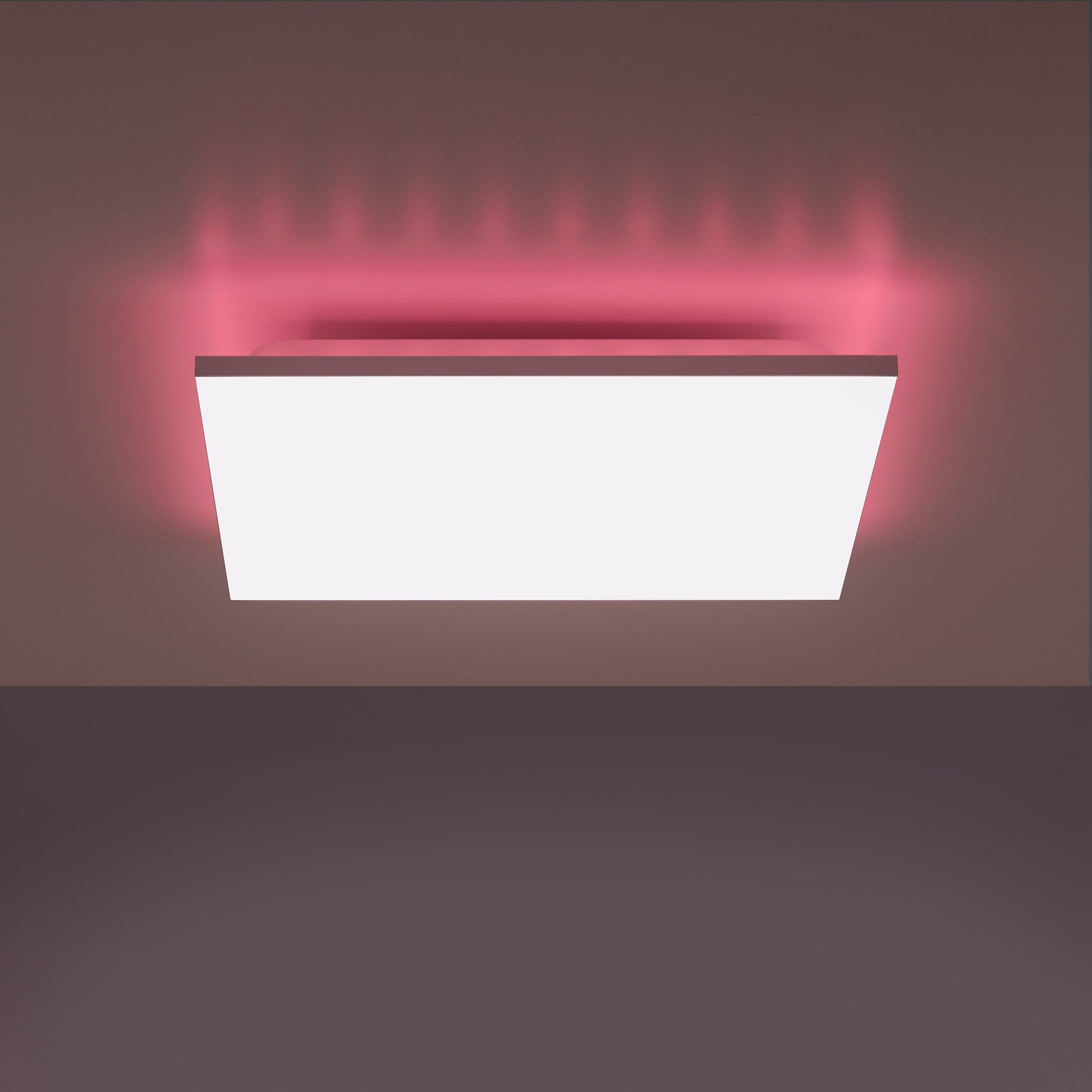 my home LED Deckenleuchte »Floki«, 2 flammig-flammig, rahmenlos, mit CCT  und RGB Backlight, dimmbar Deckenlampe bei OTTO