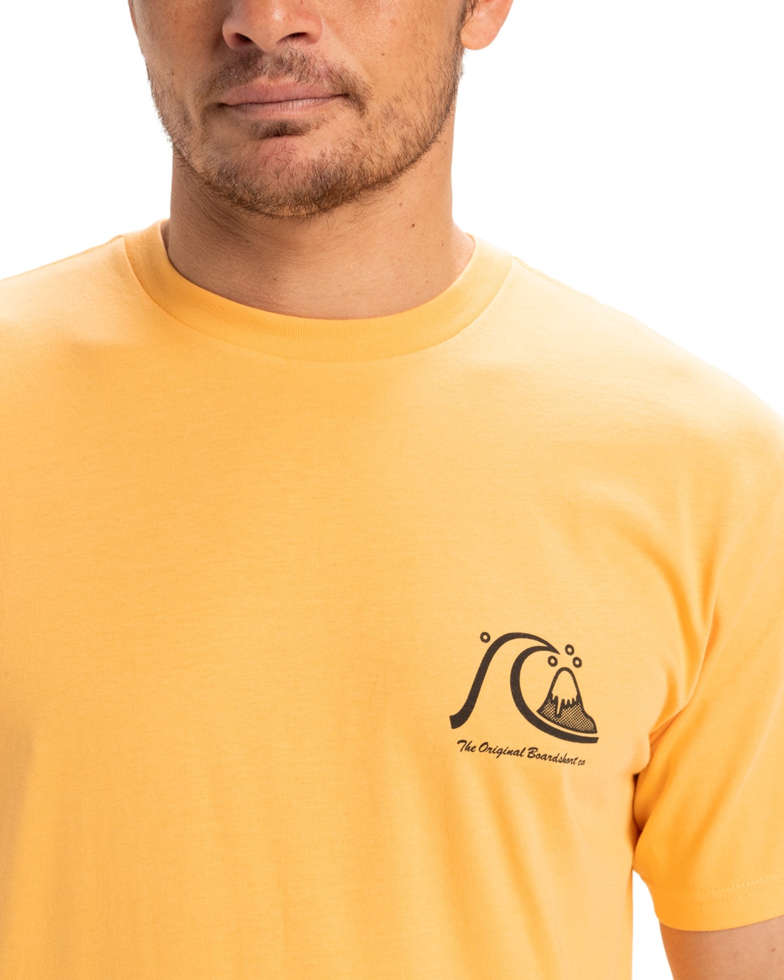 Quiksilver T-Shirt »Evo Original«