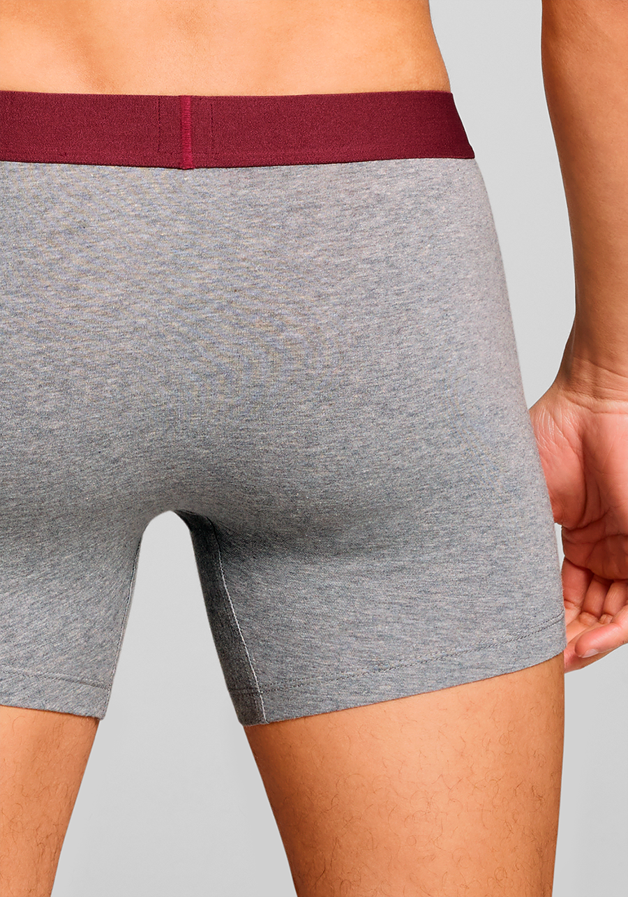 Levi's® Boxershorts »LEVIS MEN SLD BASC BOXER BRIEF ORG CO 2P«, (Packung, 2er Pack), mit breitem Logobund