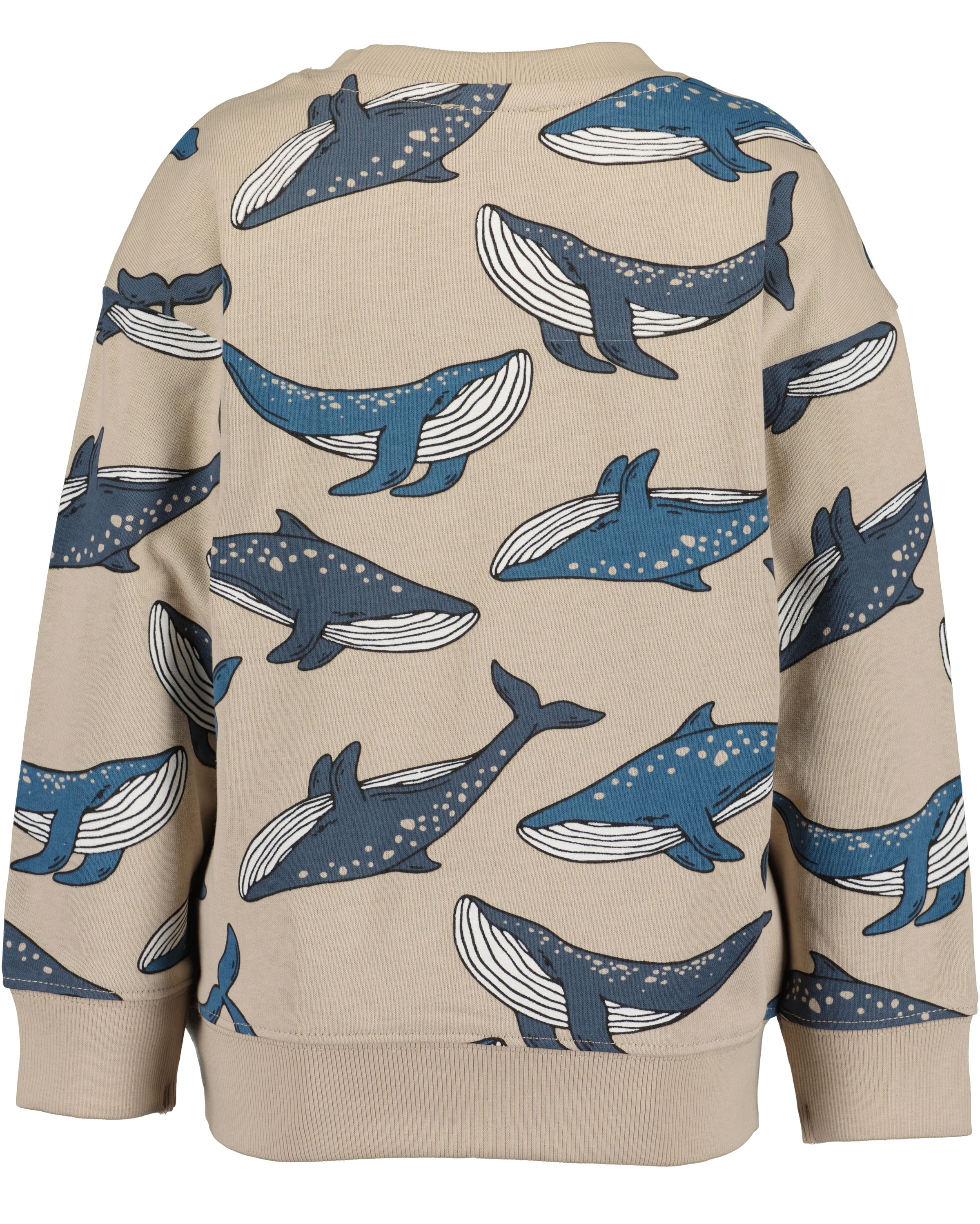 Blue Seven Sweatshirt
