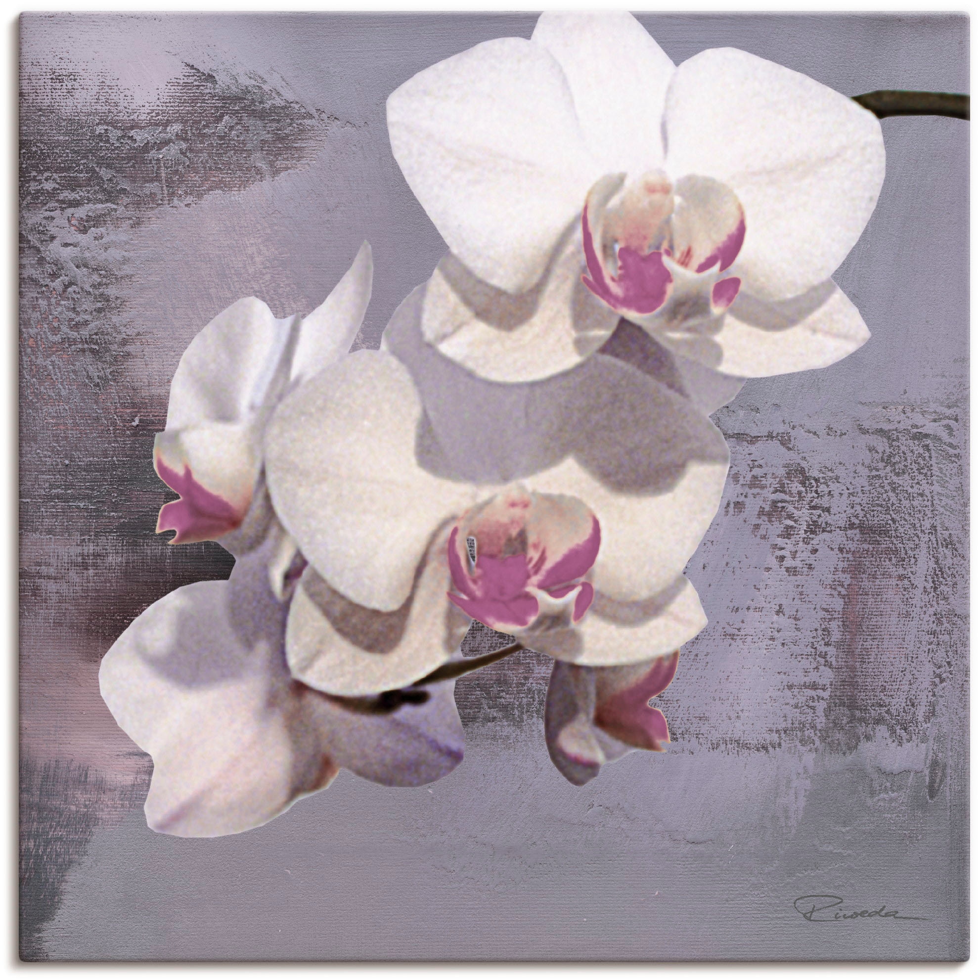 Artland Wandbild »Orchideen vor Violett II«, Blumen, (1 St.), als Alubild,  Leinwandbild, Wandaufkleber oder Poster in versch. Größen online bei OTTO